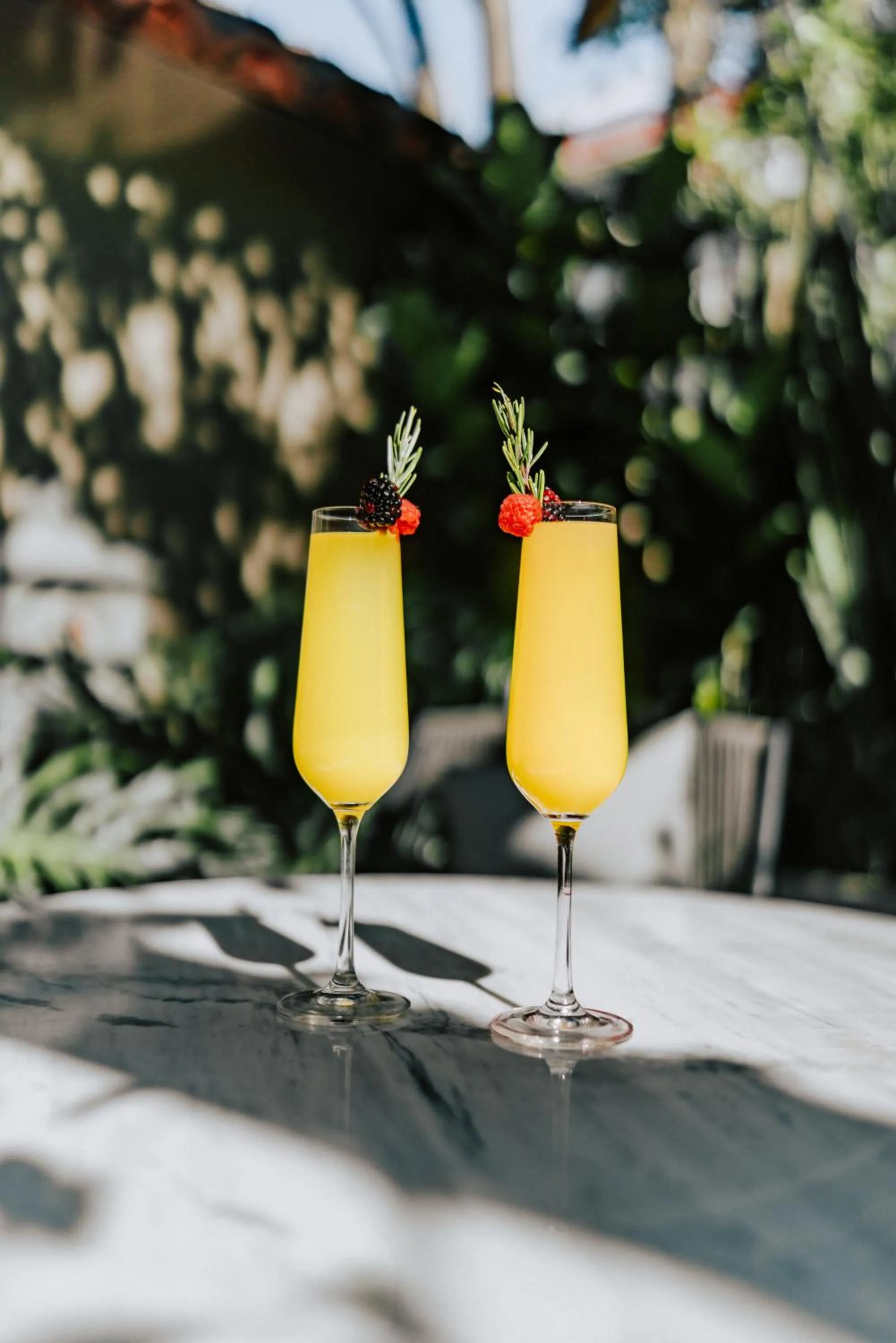 Day in CASA LUCIANA Condesa