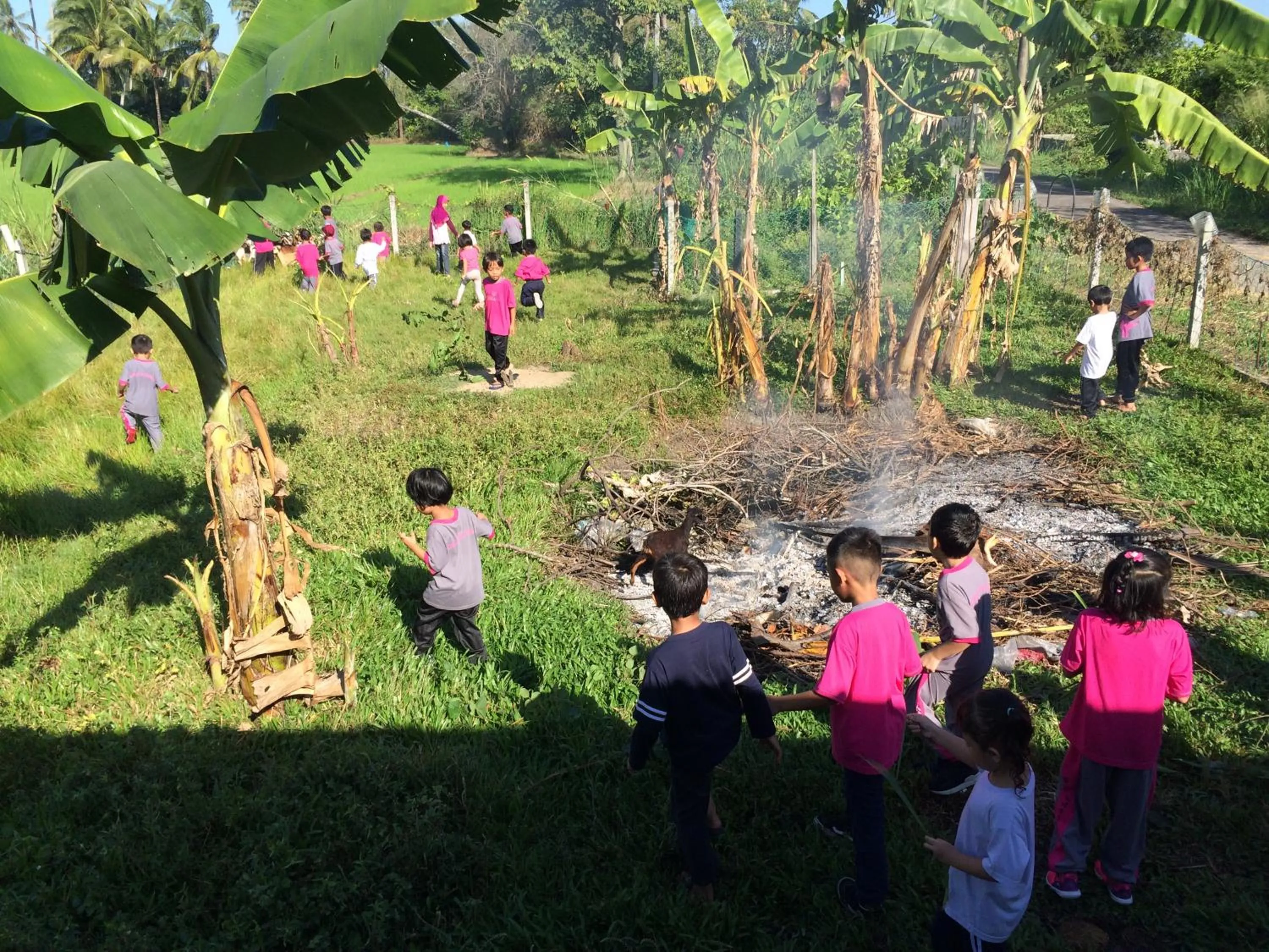 View (from property/room) in HOMESTAY Kampong KOTA AUR Resort with swimming pool, Kepala Batas, SEBERANG PERAI, PENANG -MOTAC registered Awarded ASEAN homestay standard Malaysia AWARD 2023-2028 Only 3 minutes from viral KG AGONG