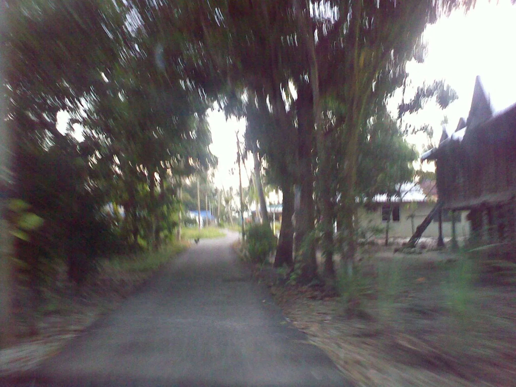 View (from property/room) in HOMESTAY Kampong KOTA AUR Resort with swimming pool, Kepala Batas, SEBERANG PERAI, PENANG -MOTAC registered Awarded ASEAN homestay standard Malaysia AWARD 2023-2028 Only 3 minutes from viral KG AGONG