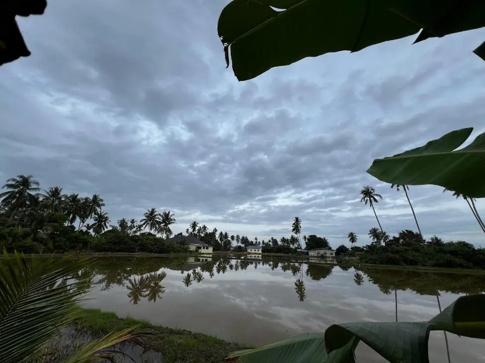 View (from property/room) in HOMESTAY Kampong KOTA AUR Resort with swimming pool, Kepala Batas, SEBERANG PERAI, PENANG -MOTAC registered Awarded ASEAN homestay standard Malaysia AWARD 2023-2028 Only 3 minutes from viral KG AGONG