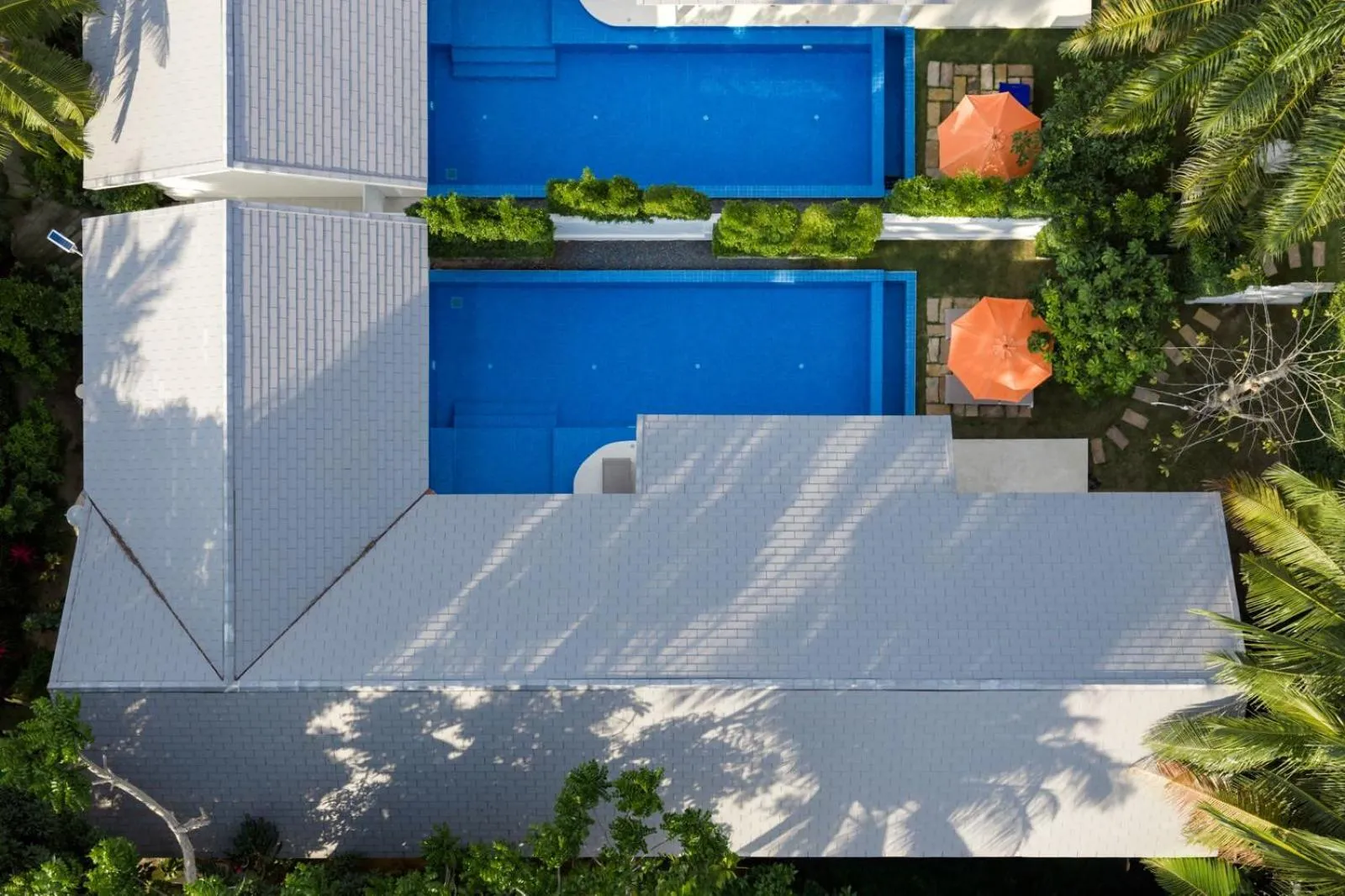 Day in Bougain Villas