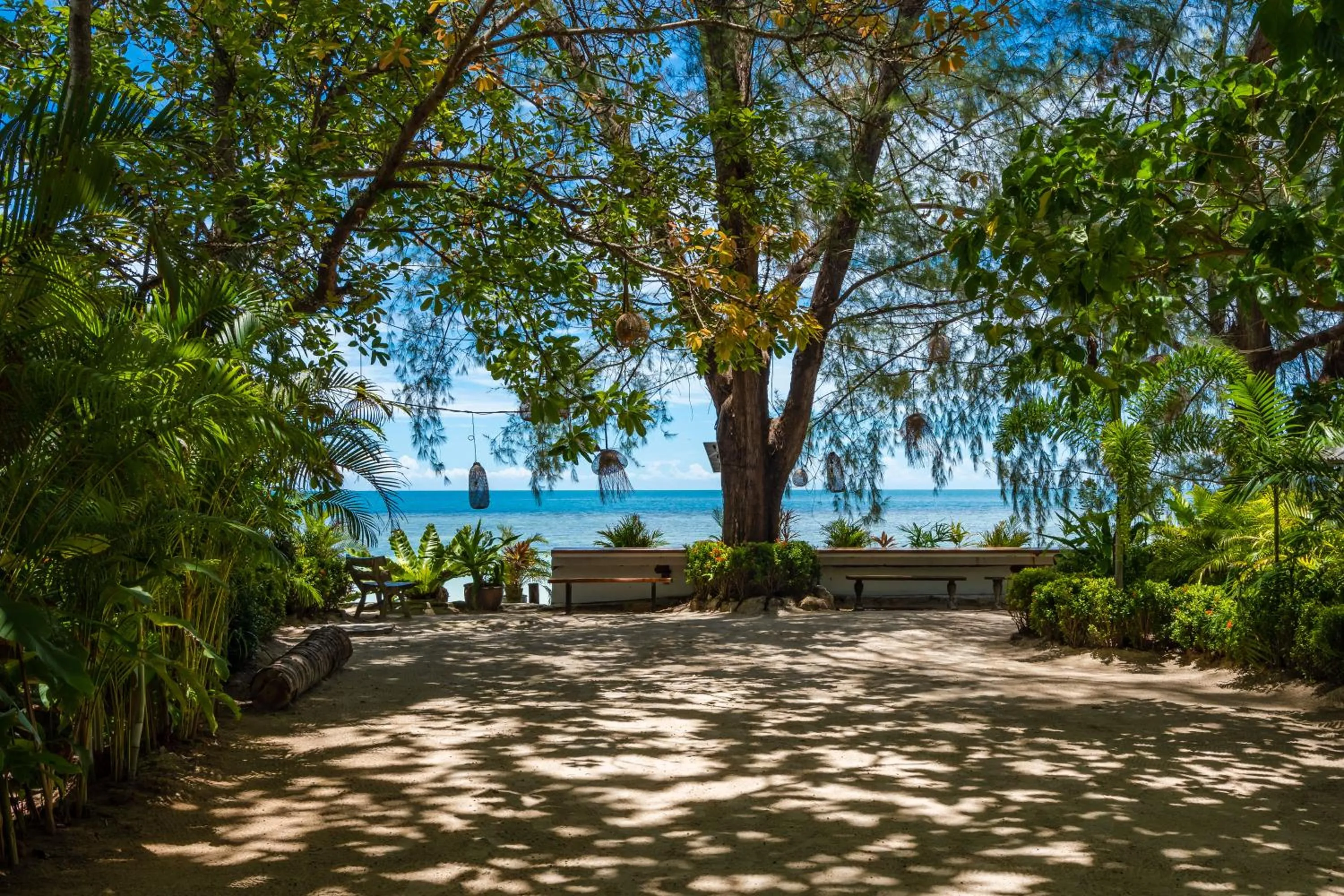 Beach in Bougain Villas