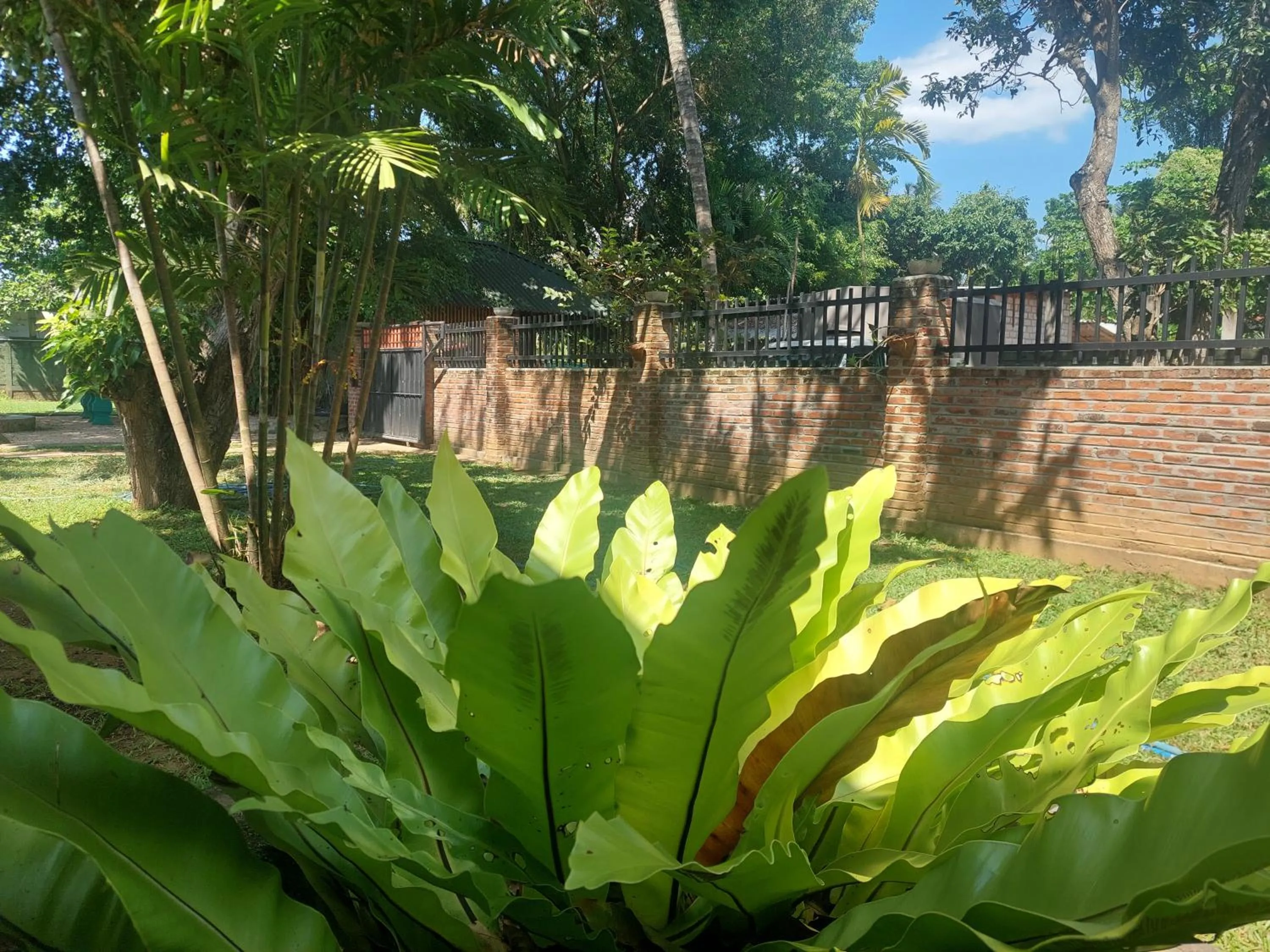 Garden view in Green Light Holiday Village