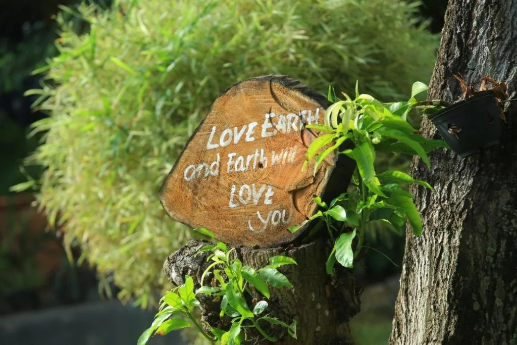 Garden in Green Light Holiday Village