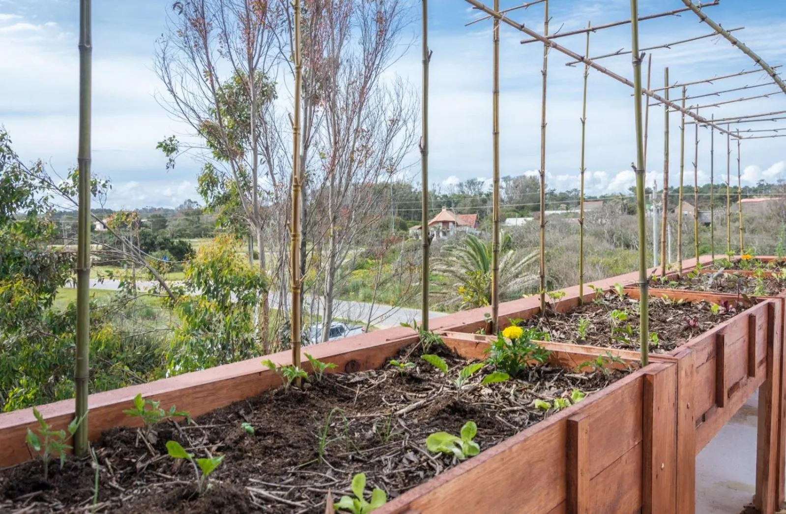 Off site in Portobello Suites Hotel