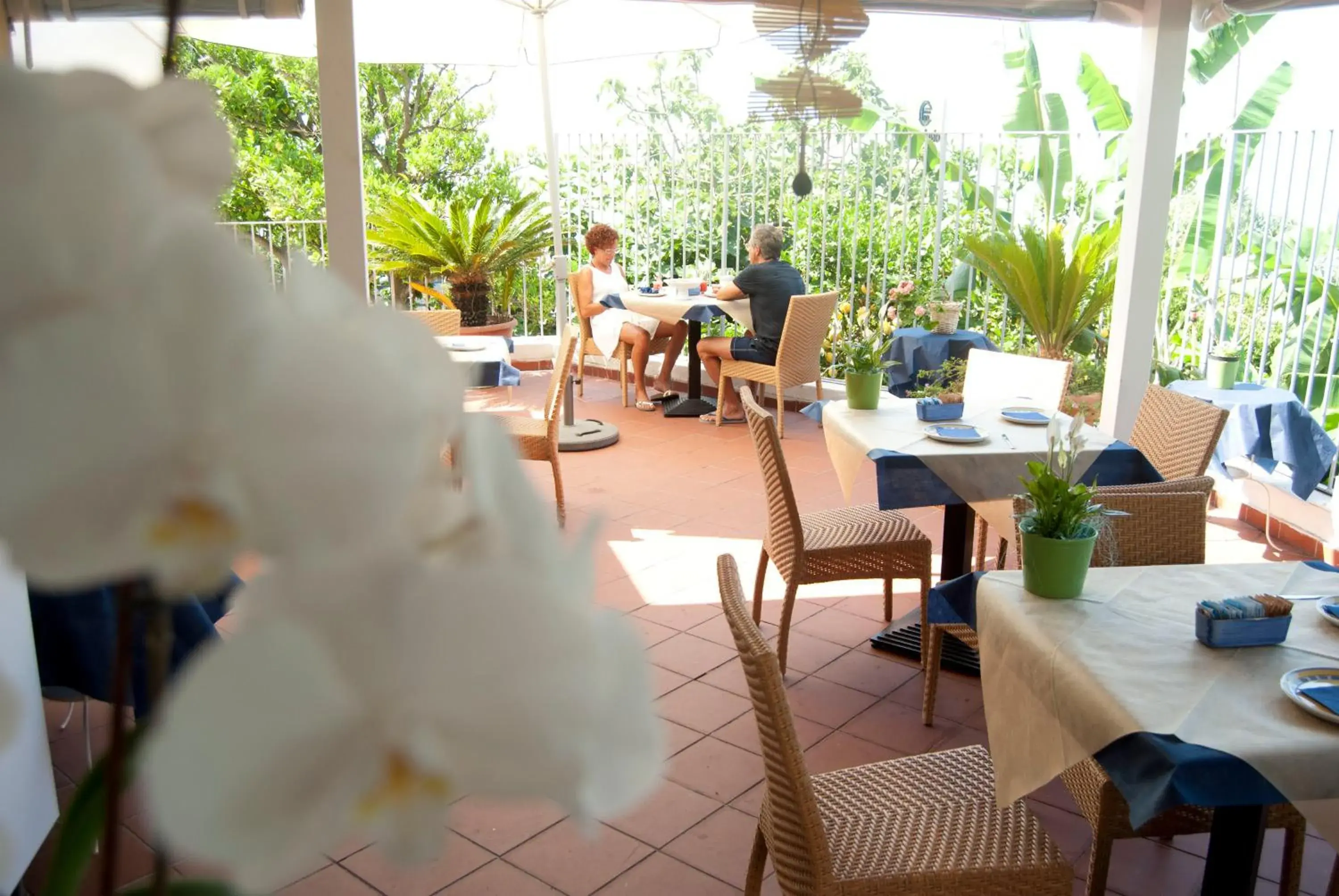 Restaurant/places to eat in Villa Giusto Restaurant/places to eat in Villa Giusto