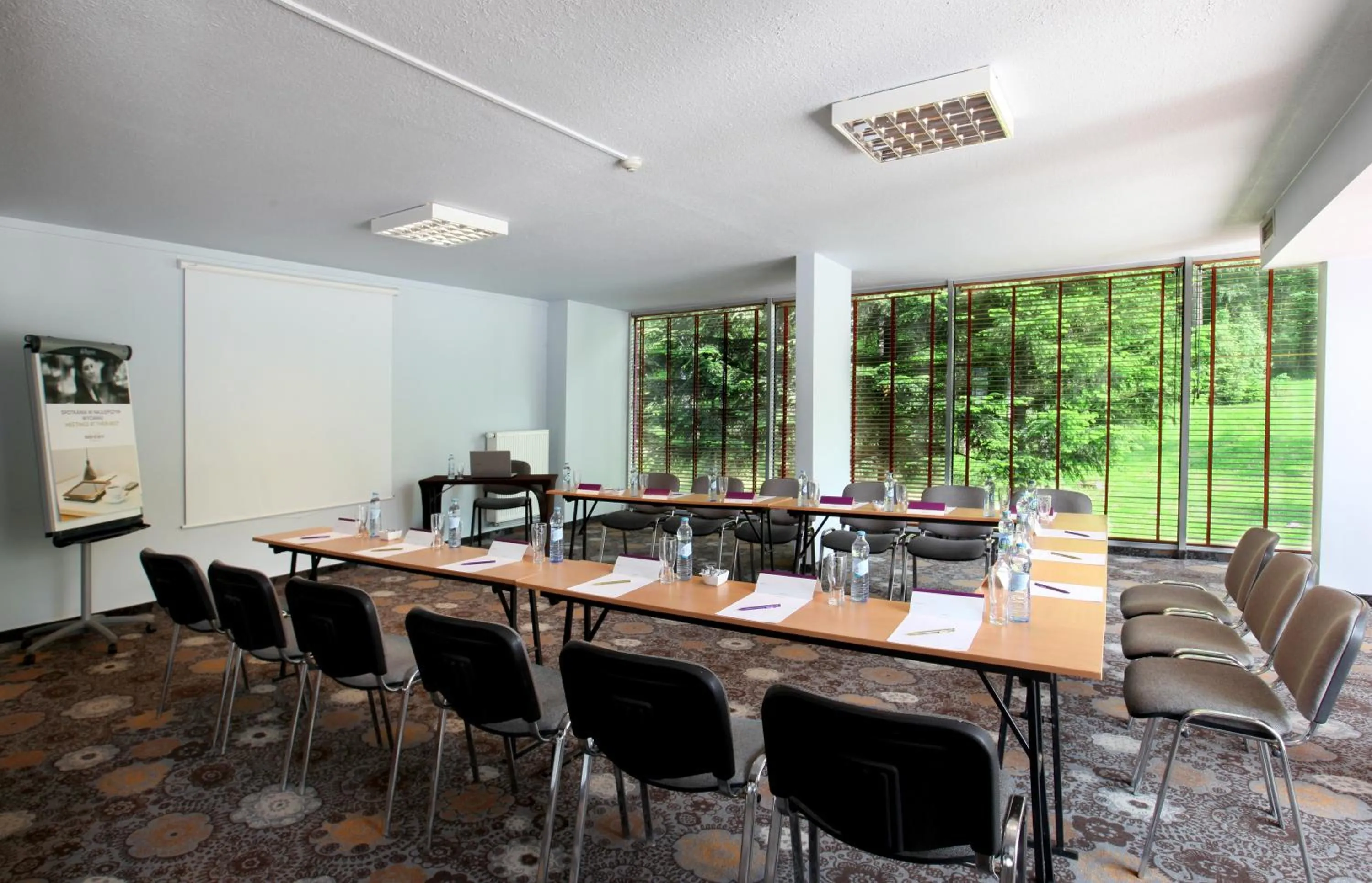 Business facilities in Mercure Karpacz Skalny