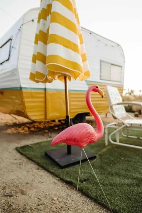 Cozy Rustic Home minutes to Joshua Tree Nat'l Park