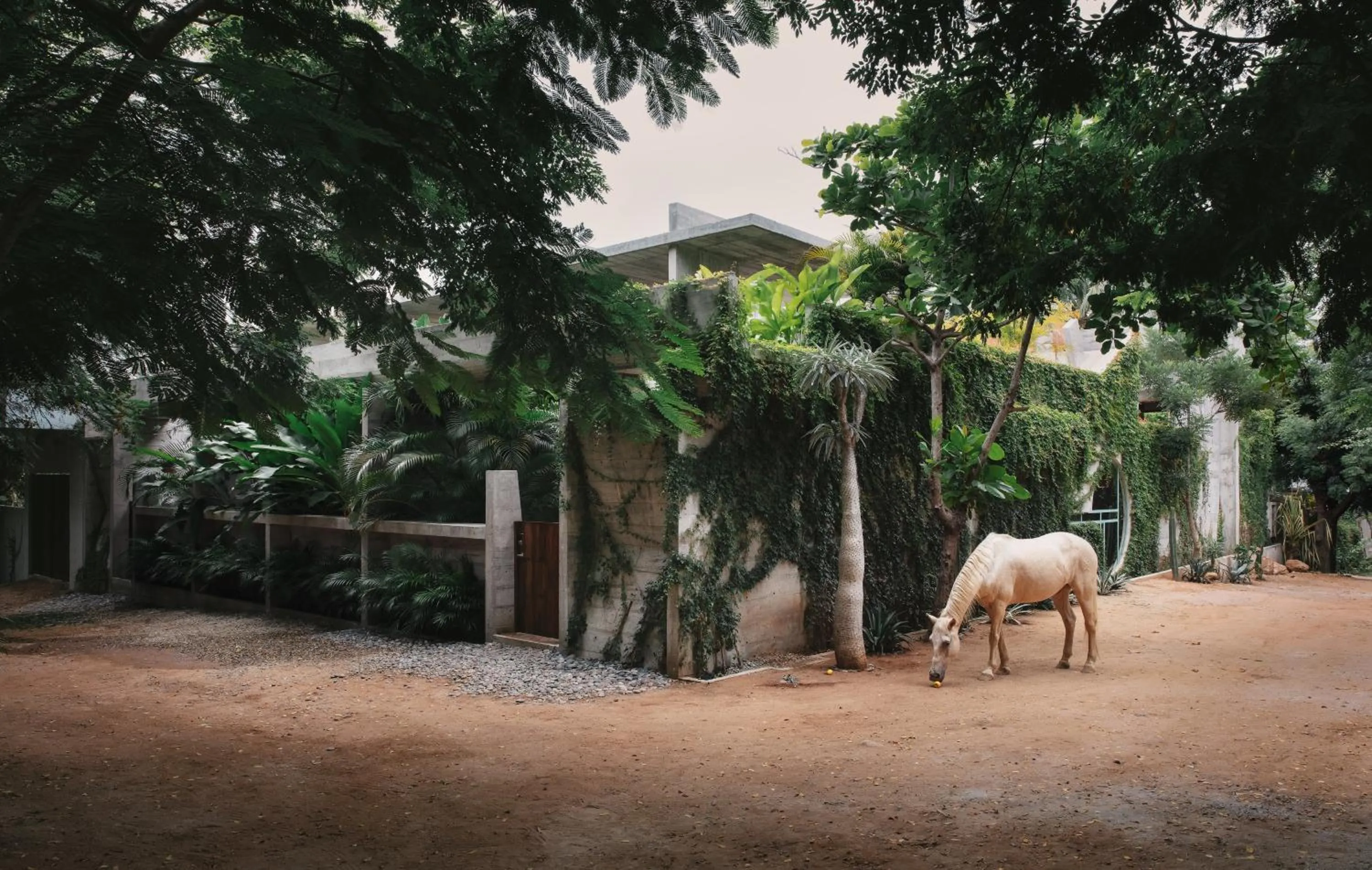 Property building in Casa TO - Adults Only