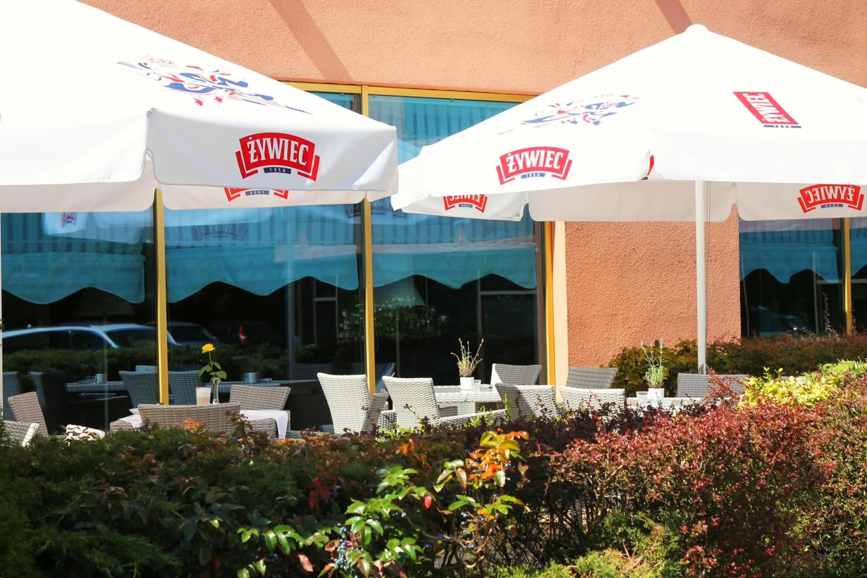 Restaurant/places to eat in Business Hotel Vega Wrocław