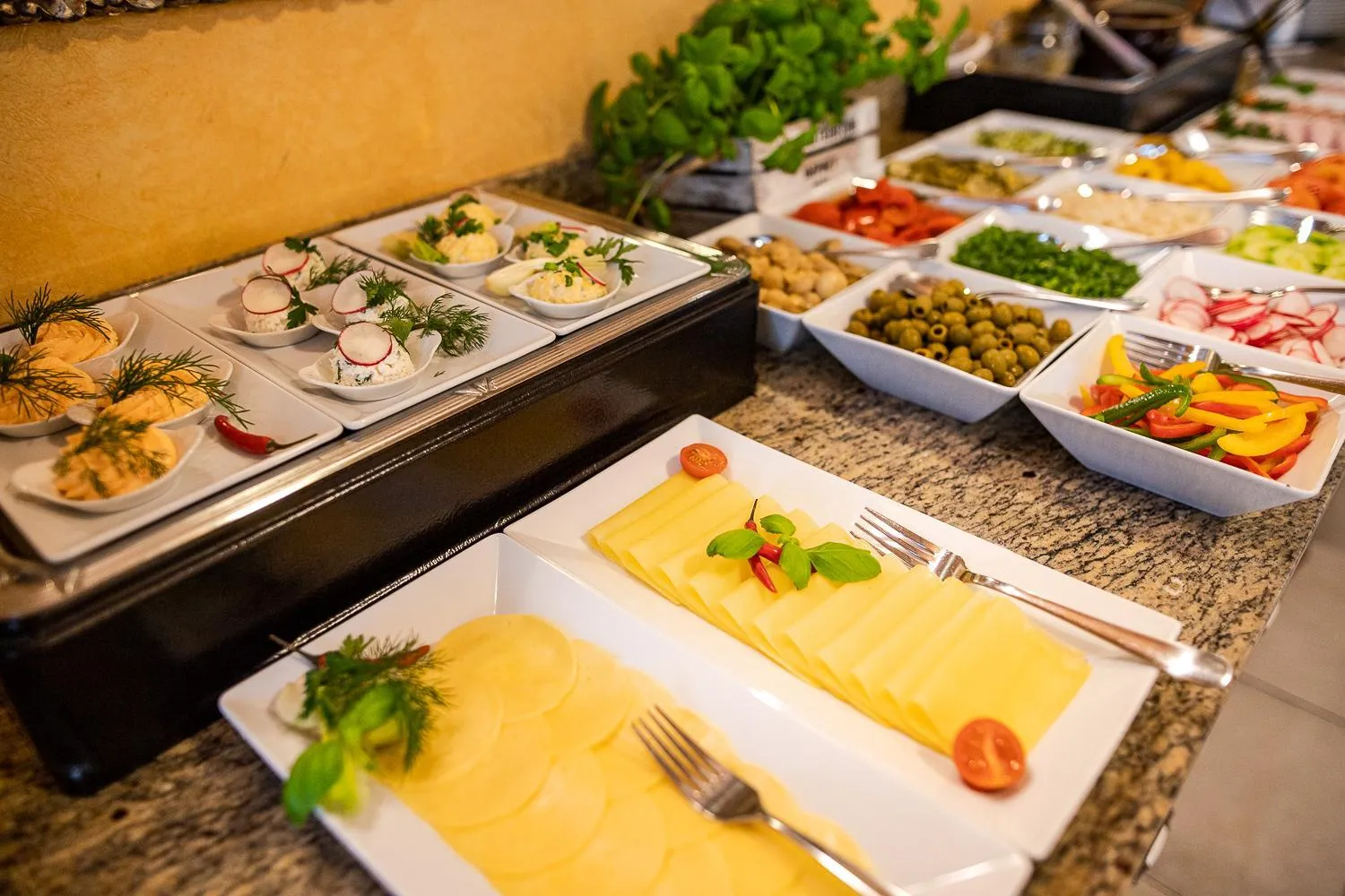 Food and drinks in Business Hotel Vega Wrocław