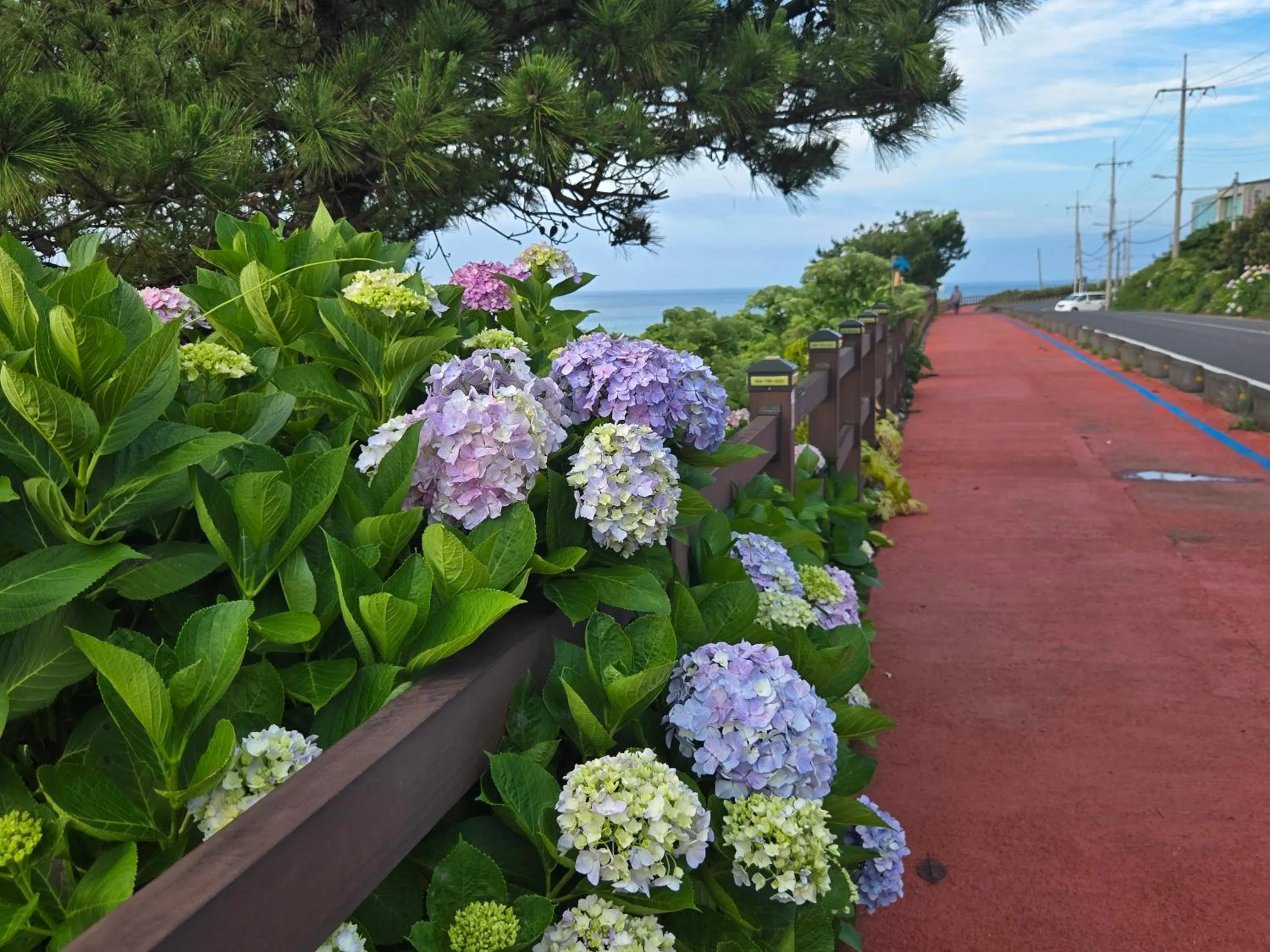 Jeju Gaviota Pension