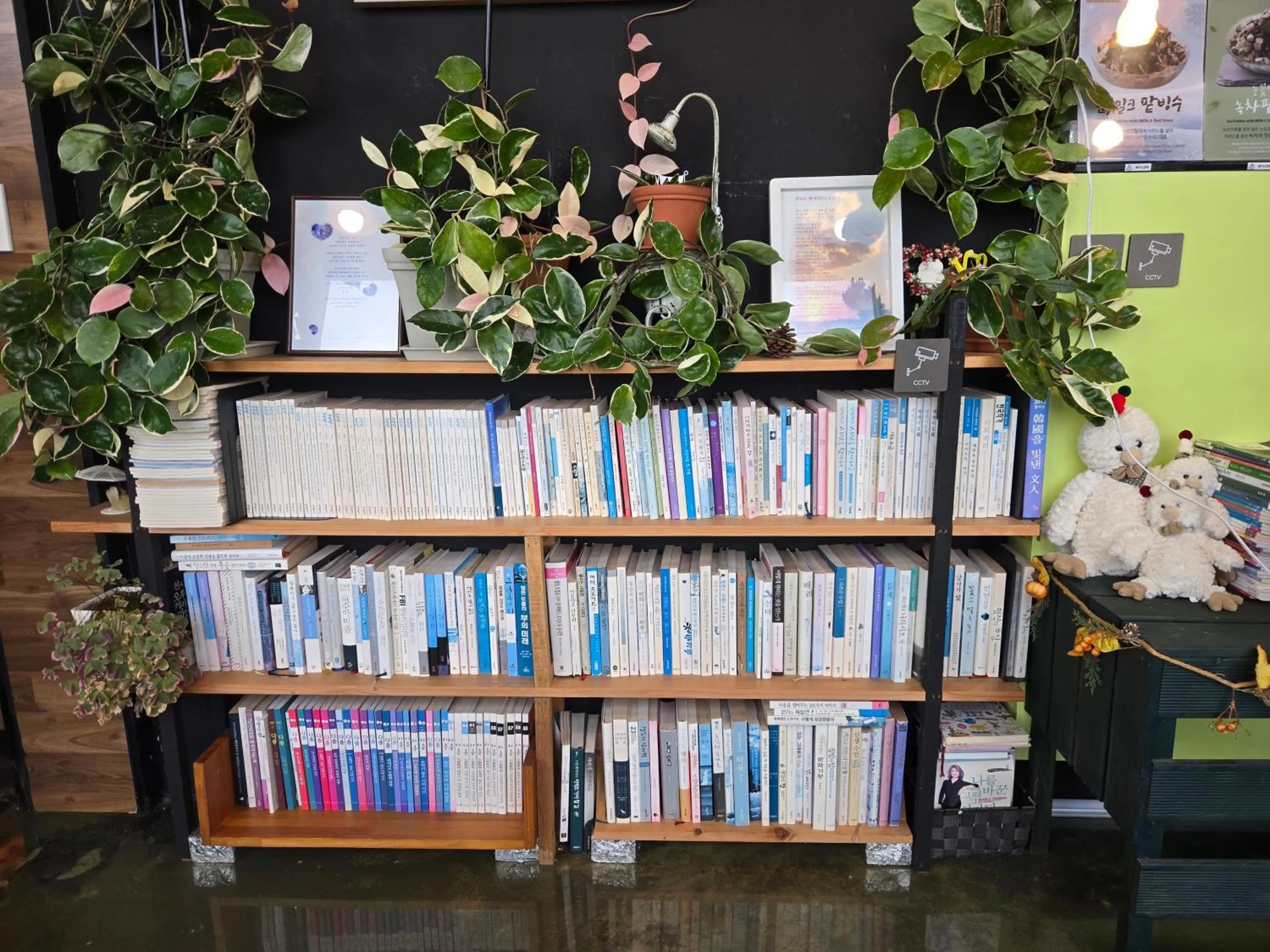 Jeju Gaviota Pension