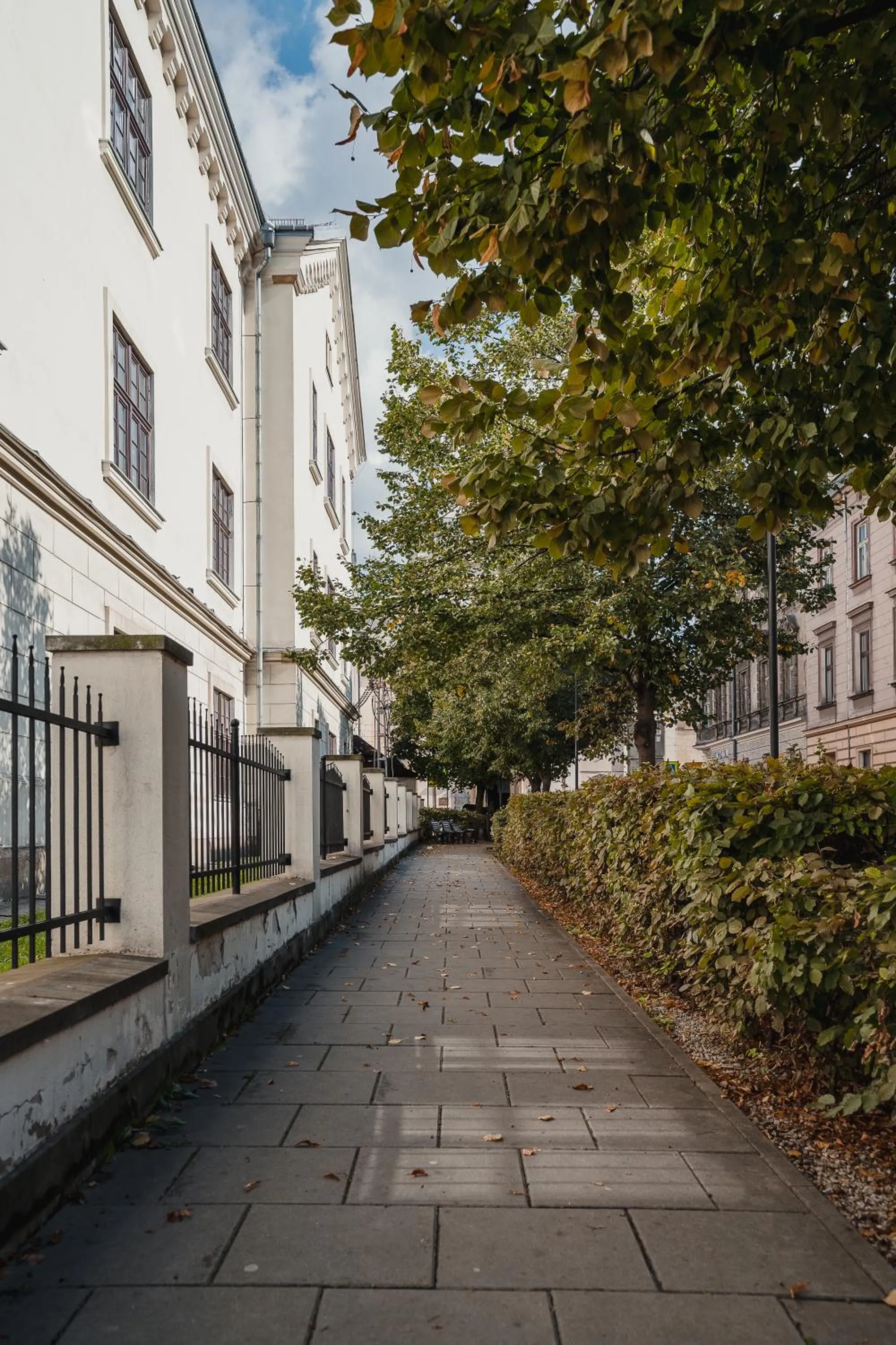 View (from property/room) in H11 Aparthotel