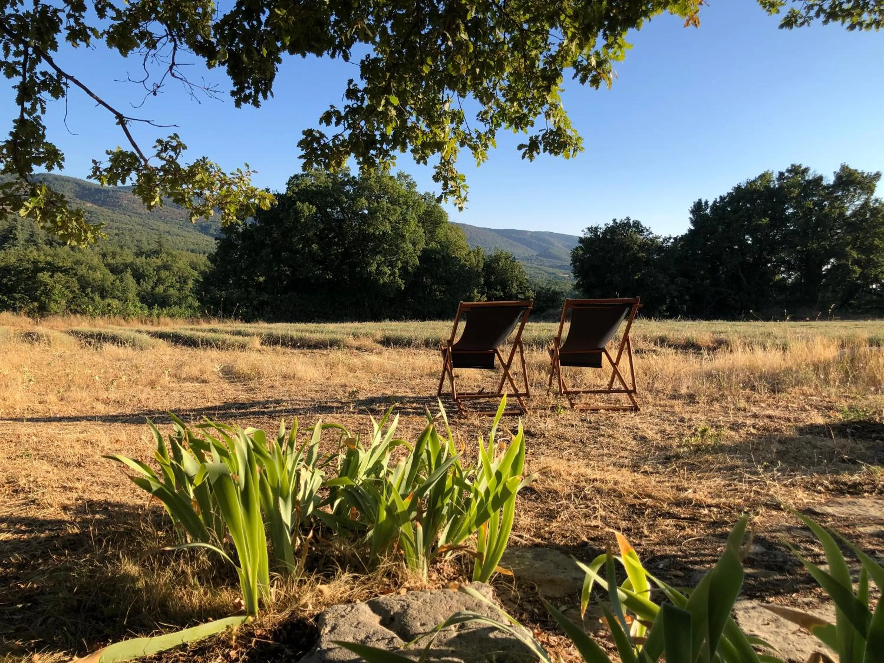 Mountain view in Cabanon du berger
