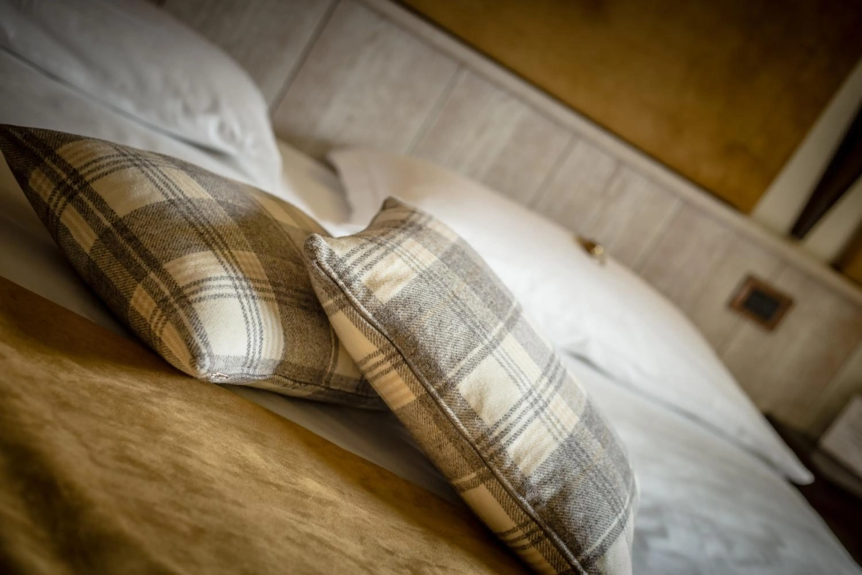 Decorative detail in Hotel Comtes De Challant Albergo Etico Valle d'Aosta