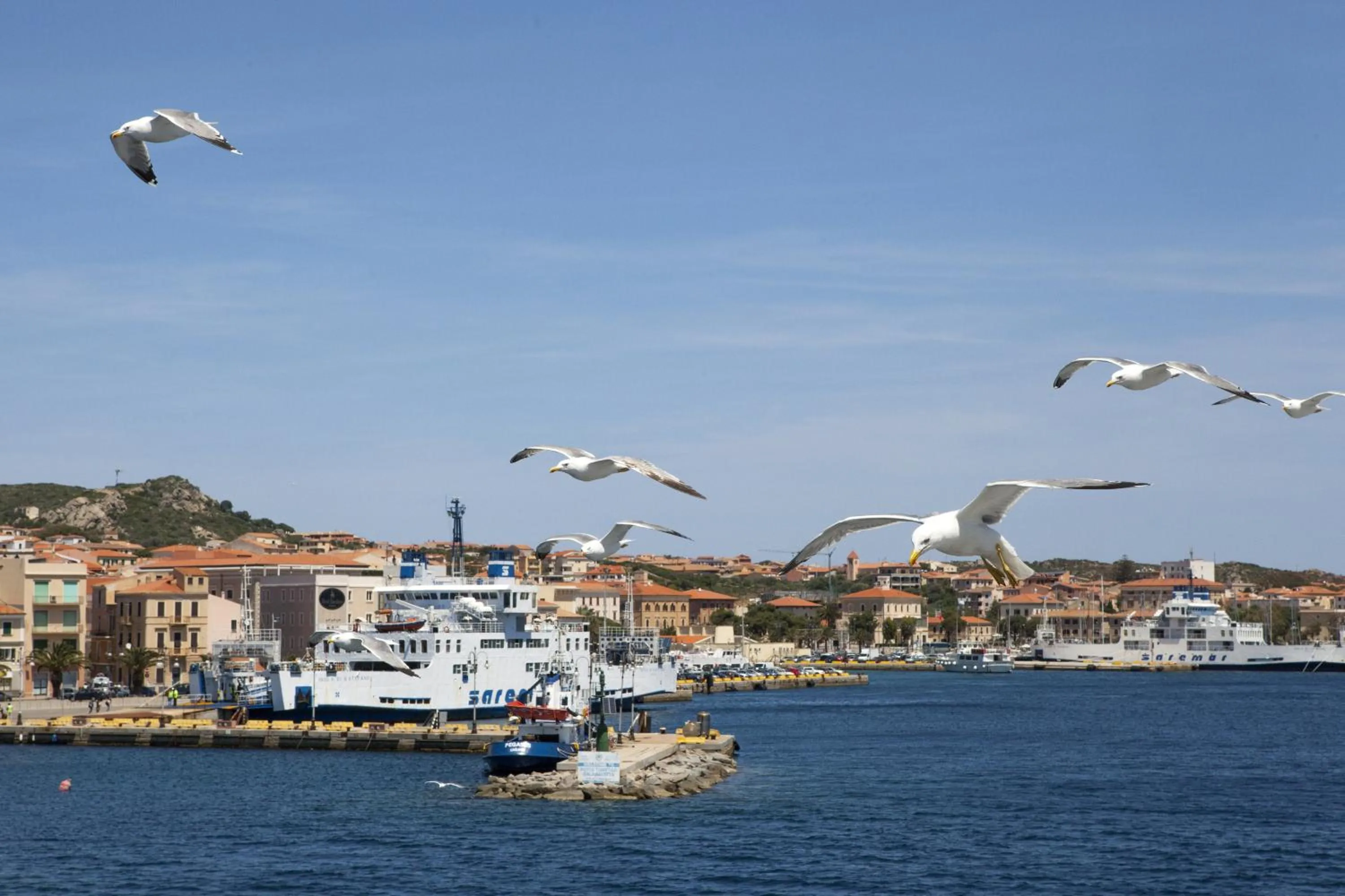 Day in Hotel Piccada