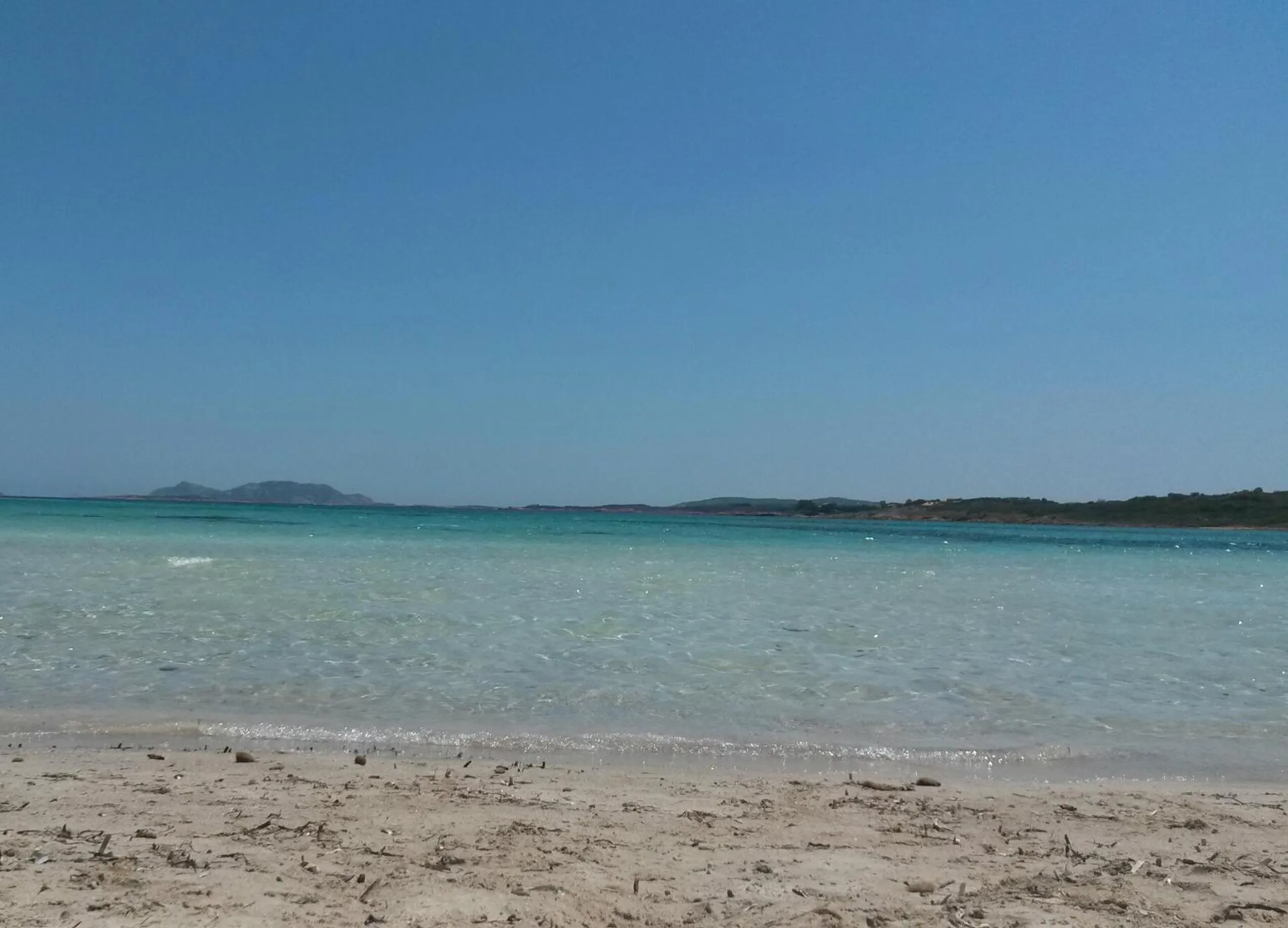 Beach in Hotel Piccada