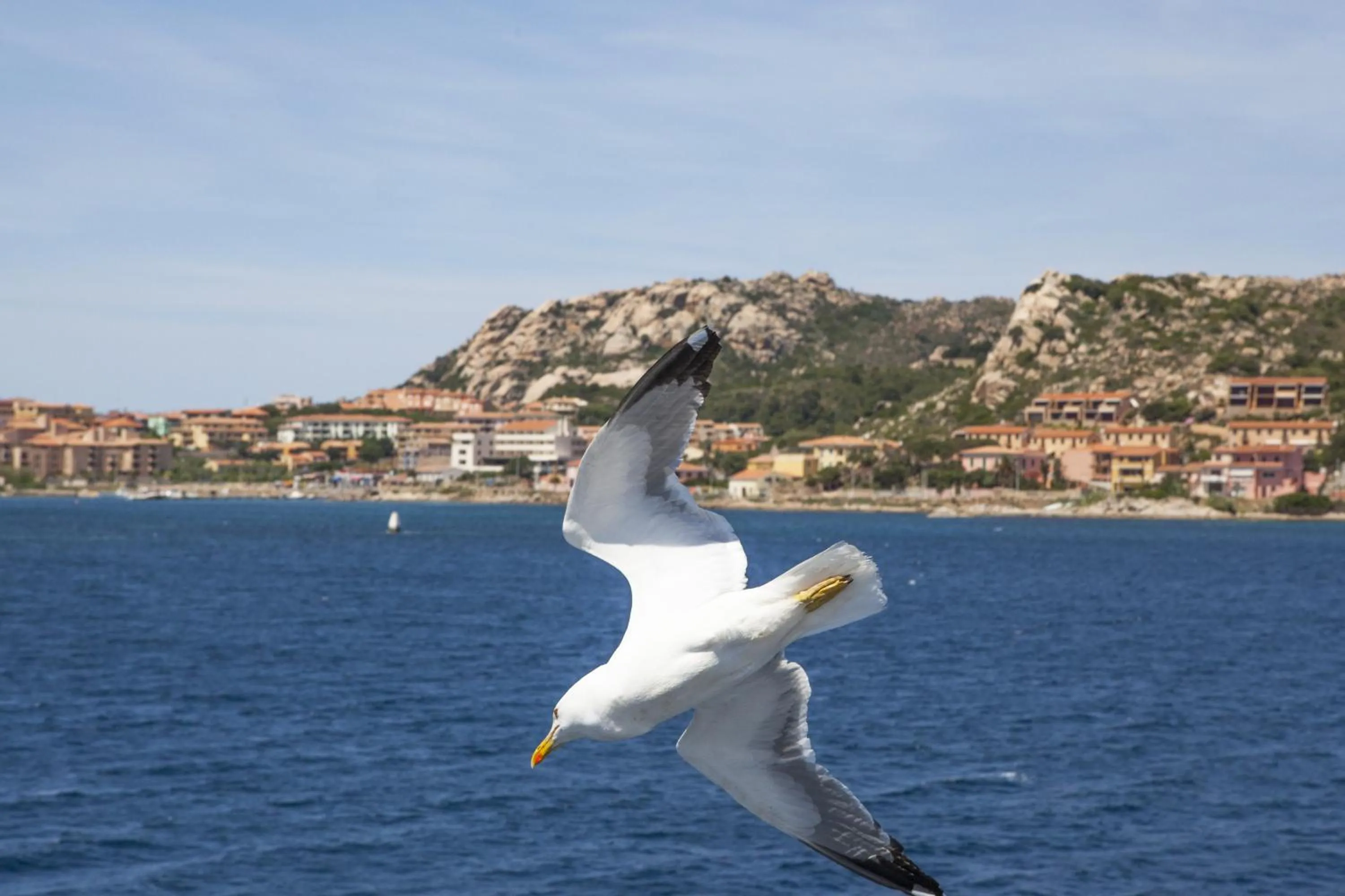 Day in Hotel Piccada