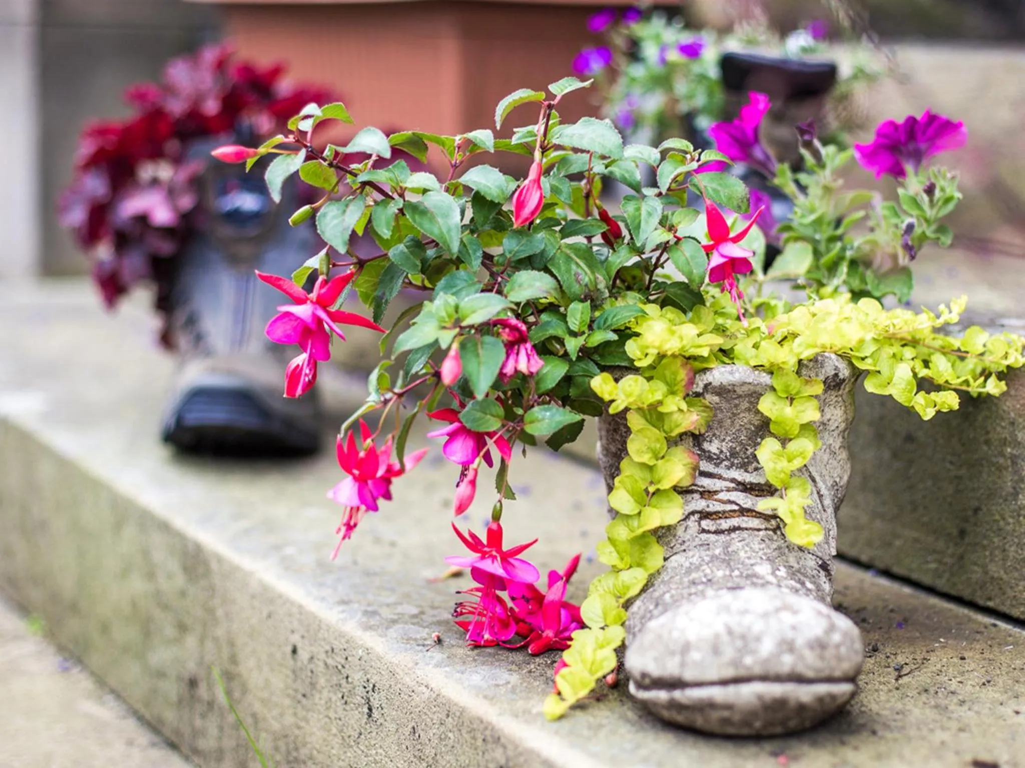 Decorative detail in Kirkby Stephen Hostel