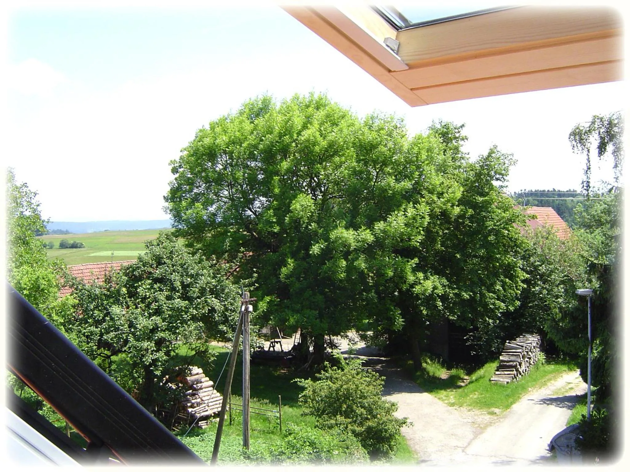 Area and facilities in Gasthof Hotel Traube
