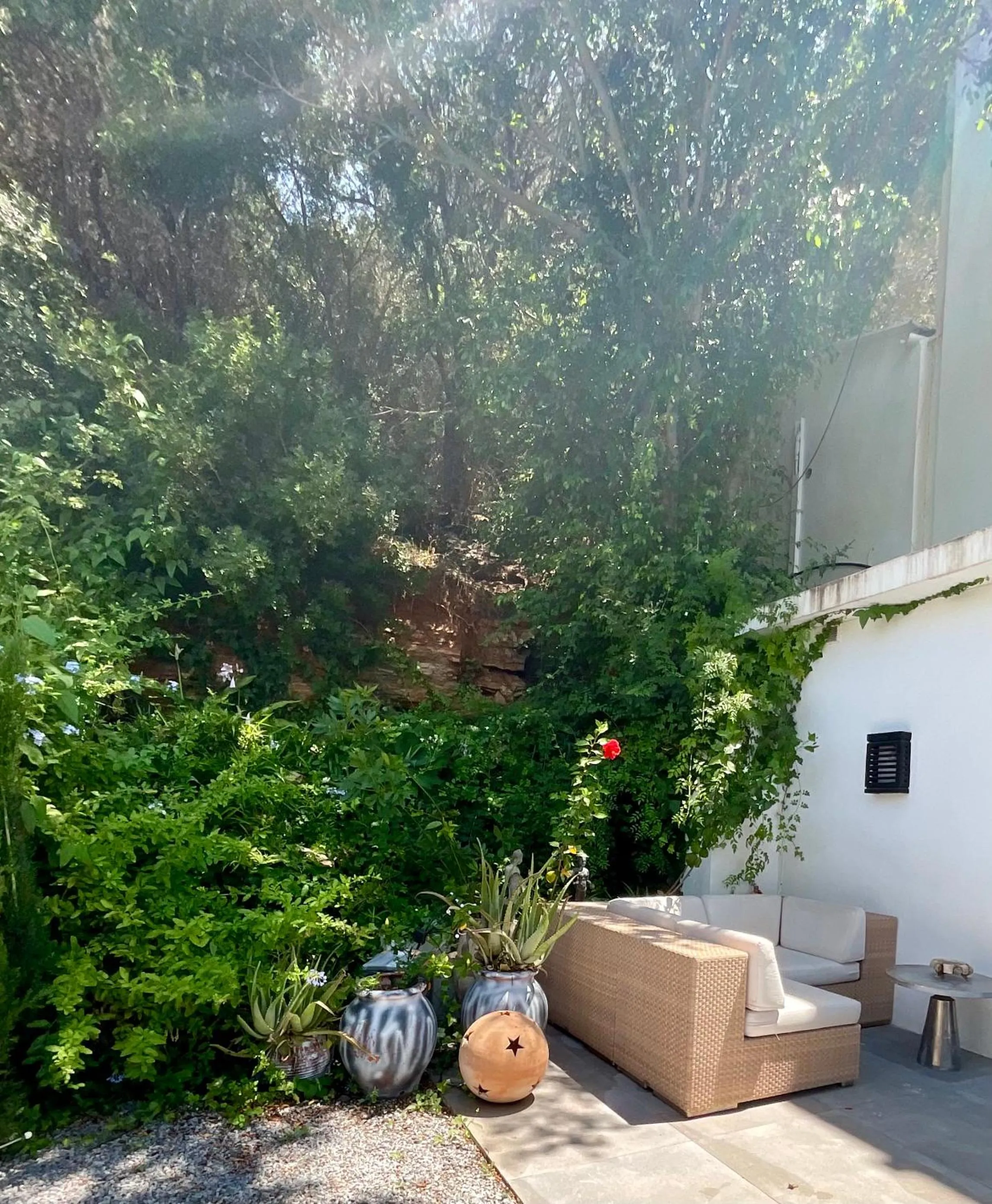 Garden in Marbella Boutique Art suites