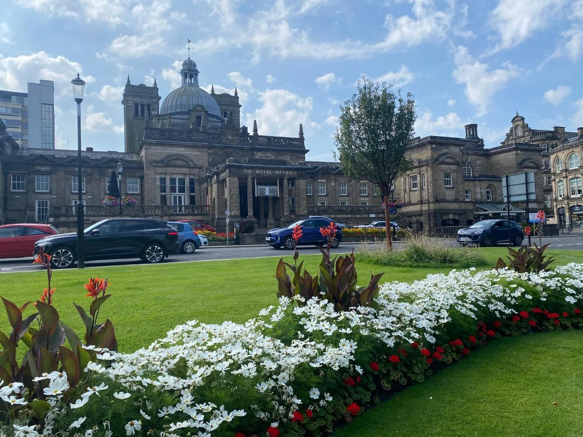 SpringfieldHarrogate