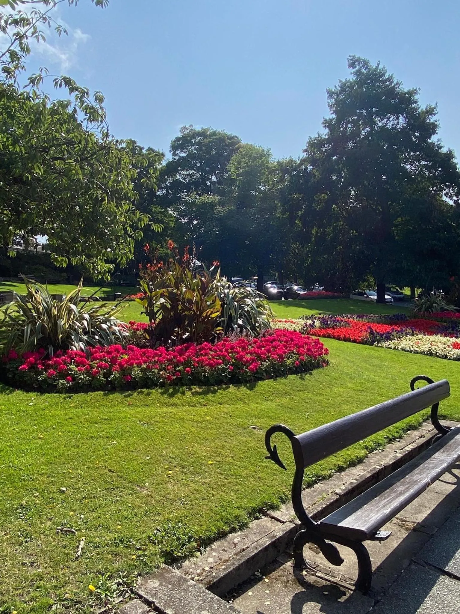 SpringfieldHarrogate