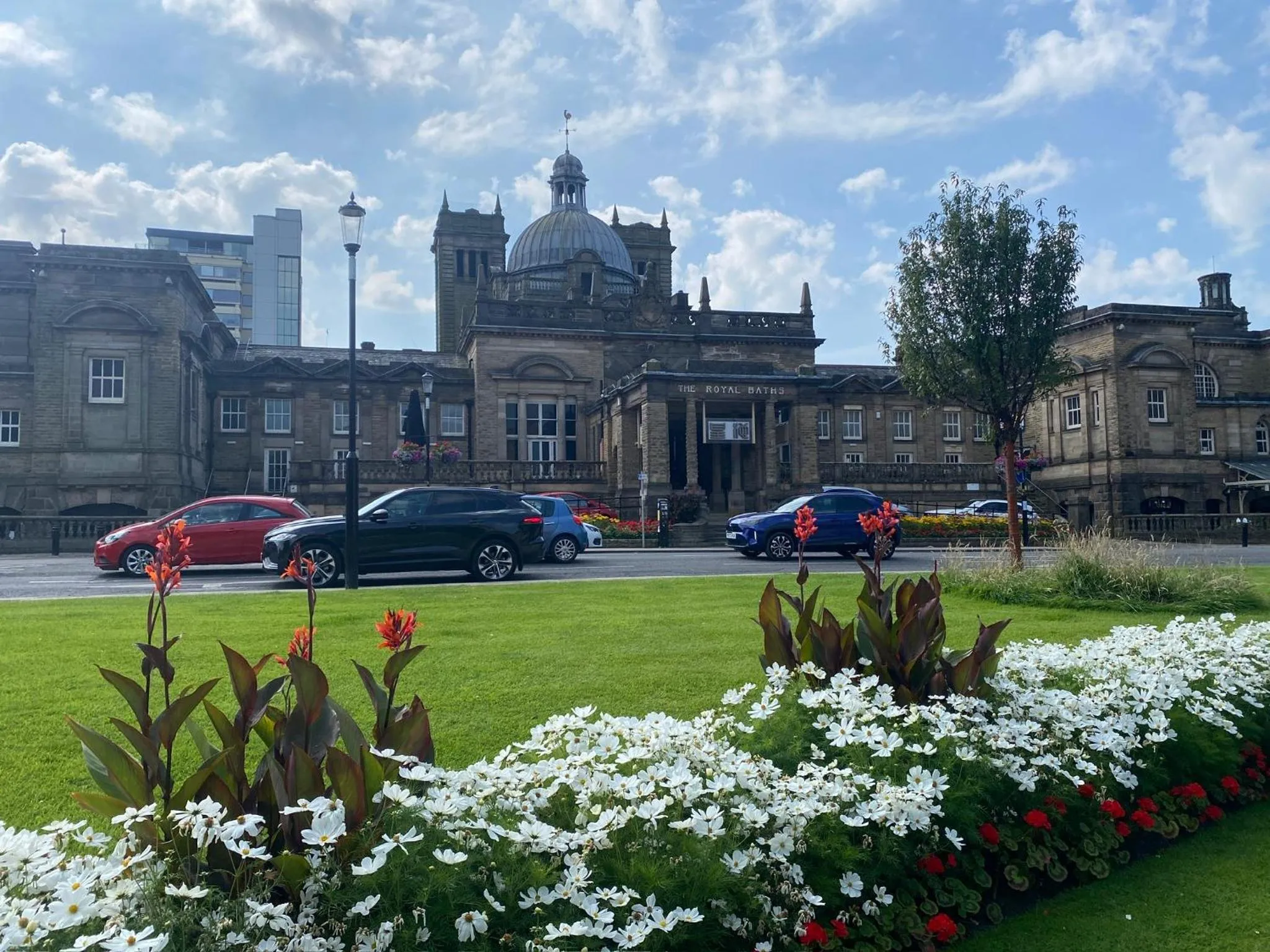 SpringfieldHarrogate