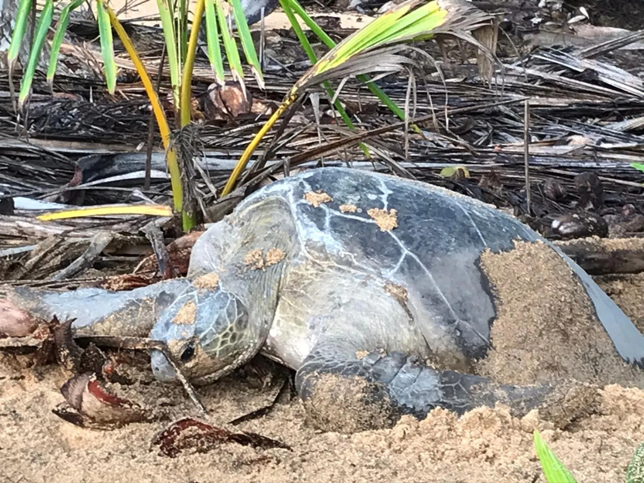 Hotel Praia Inhame Ecolodge