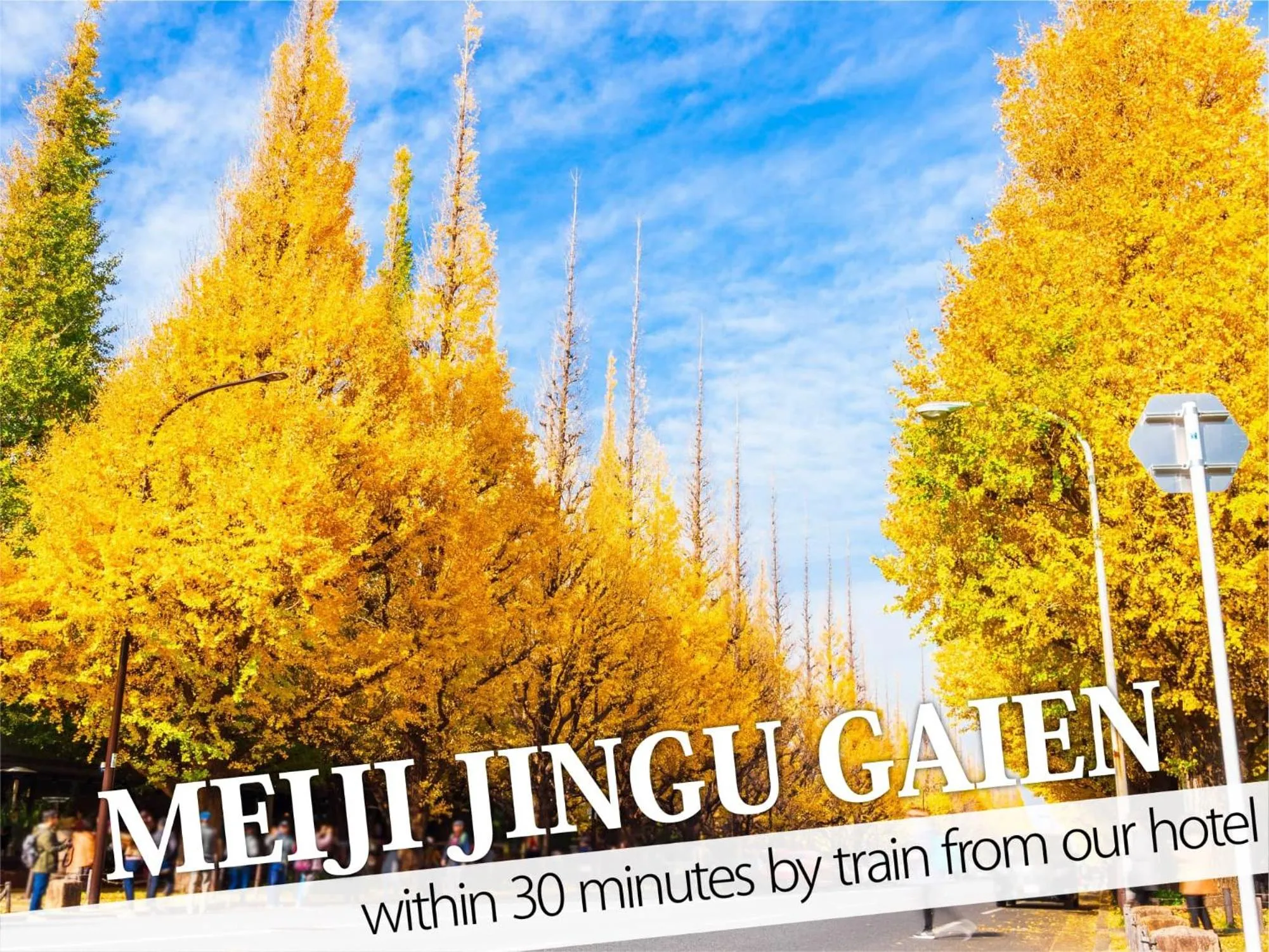 Nearby landmark in Hotel DIAMOND