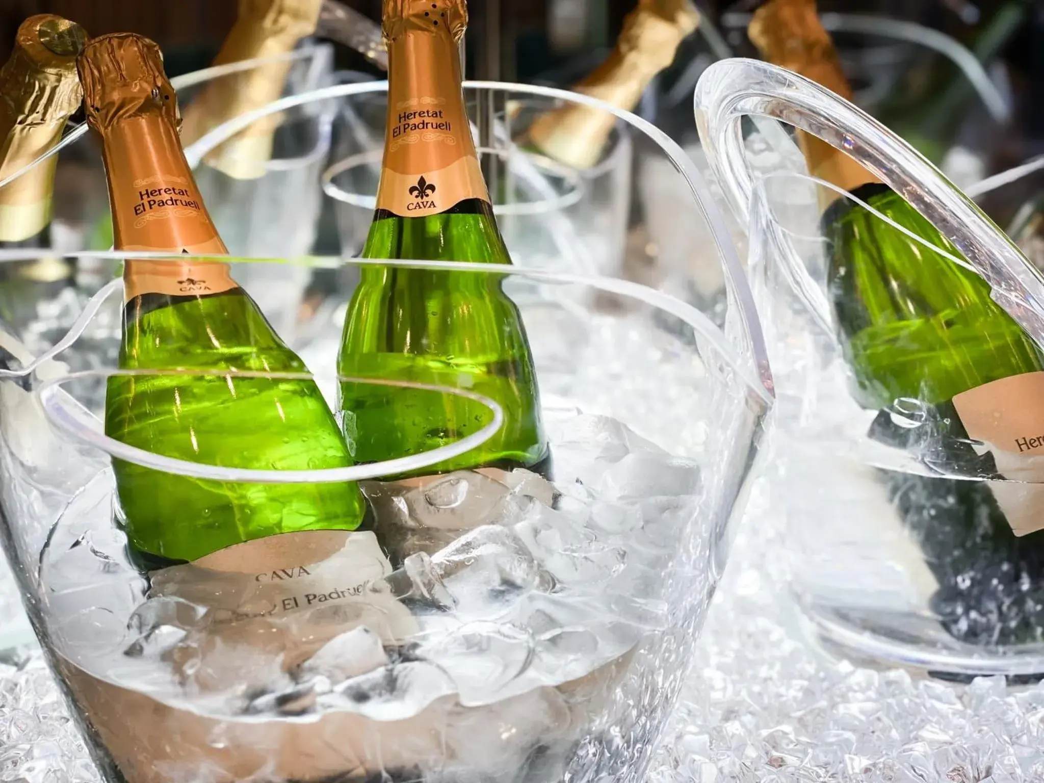 Food and drinks in Hotel DIAMOND Food and drinks in Hotel DIAMOND