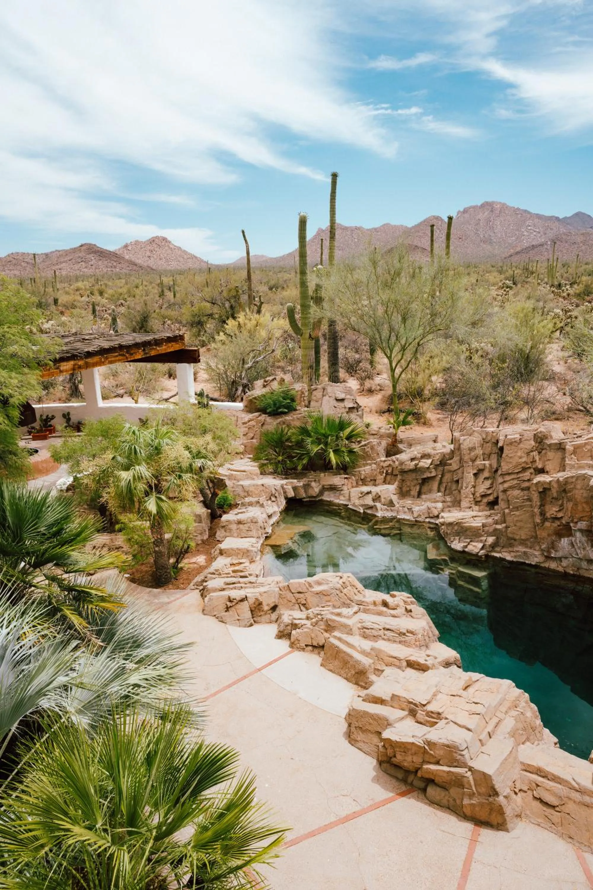 Swimming pool in The JTH Tucson