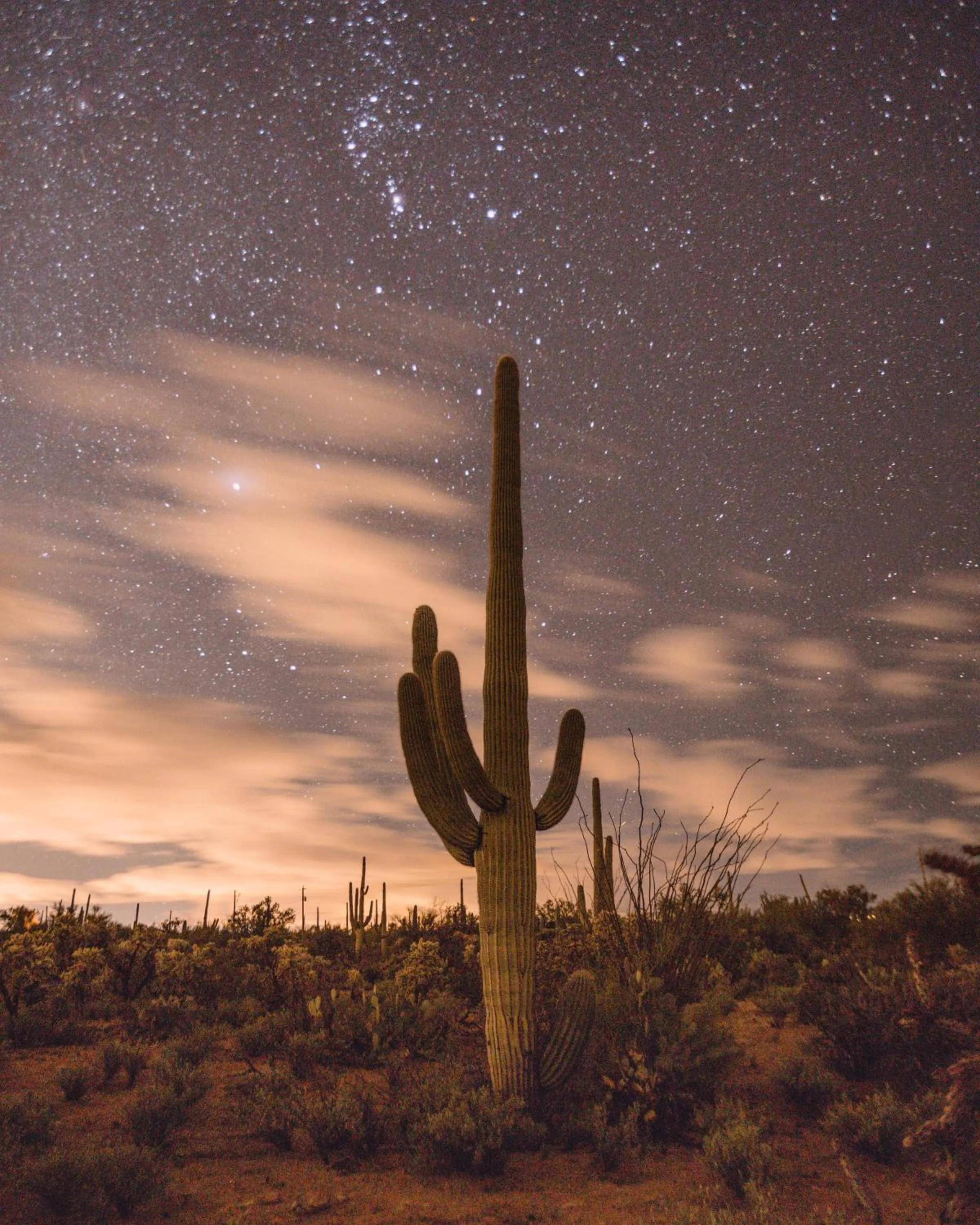 View (from property/room) in The JTH Tucson