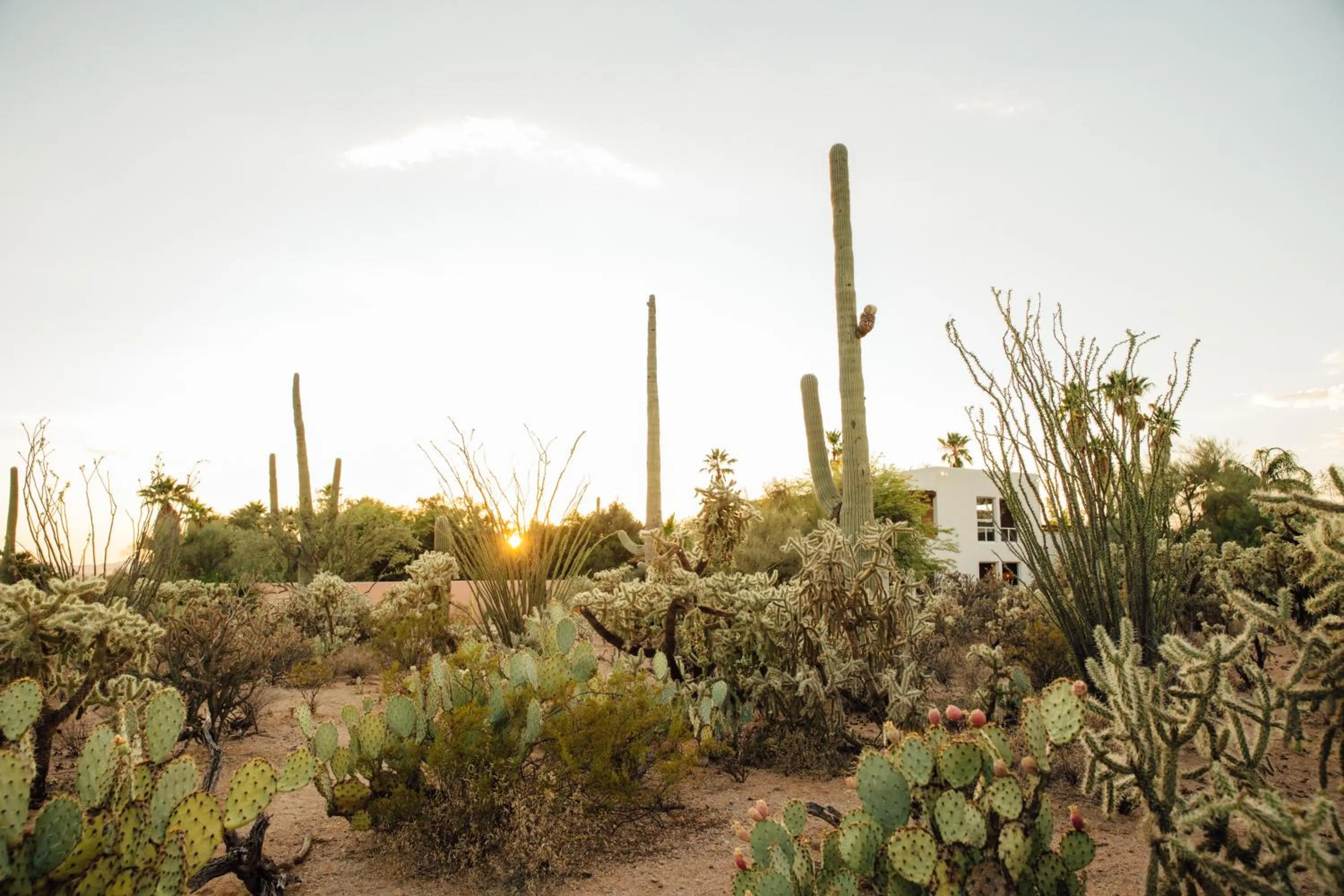 Property building in The JTH Tucson