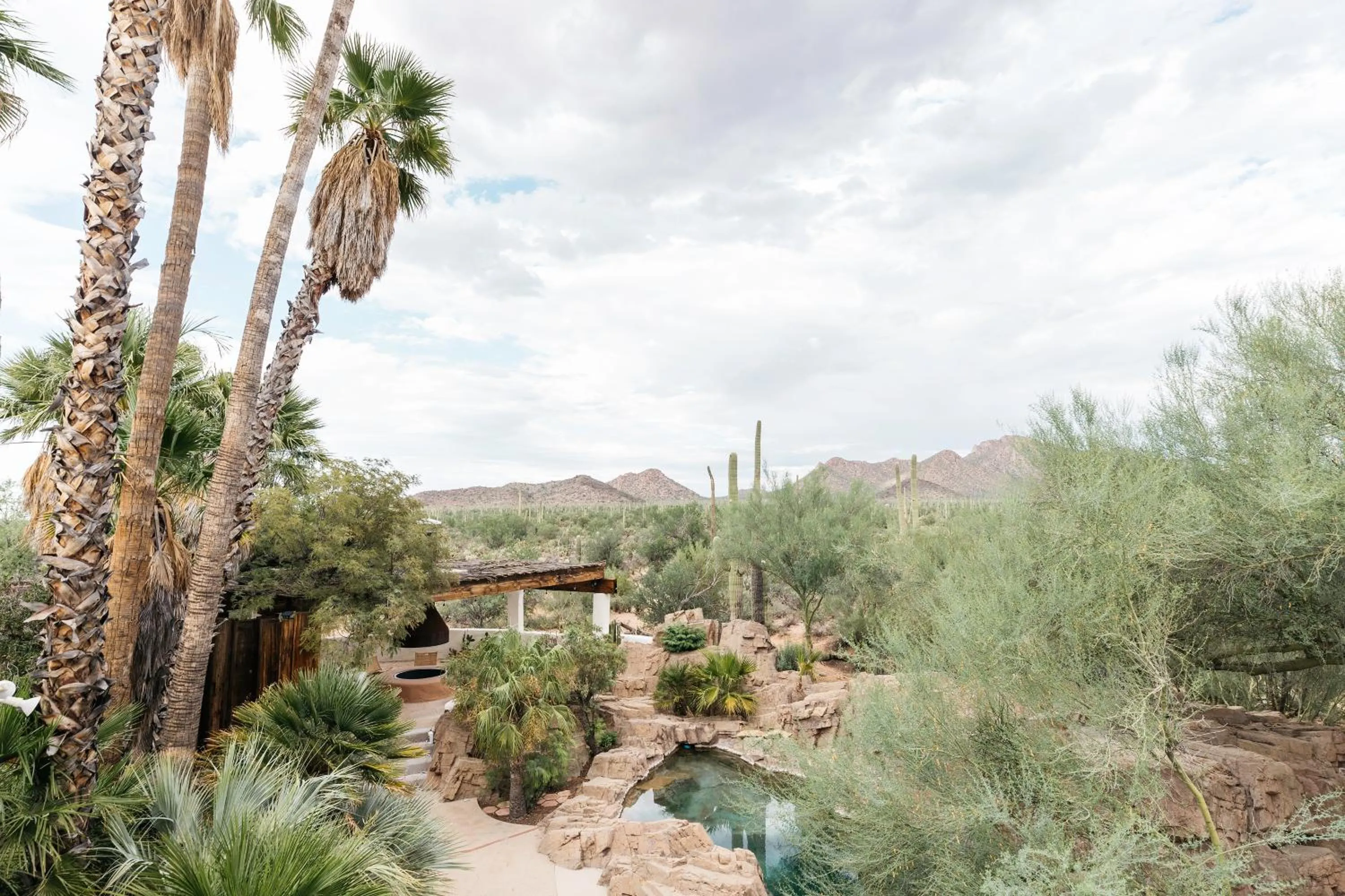 Natural landscape in The JTH Tucson