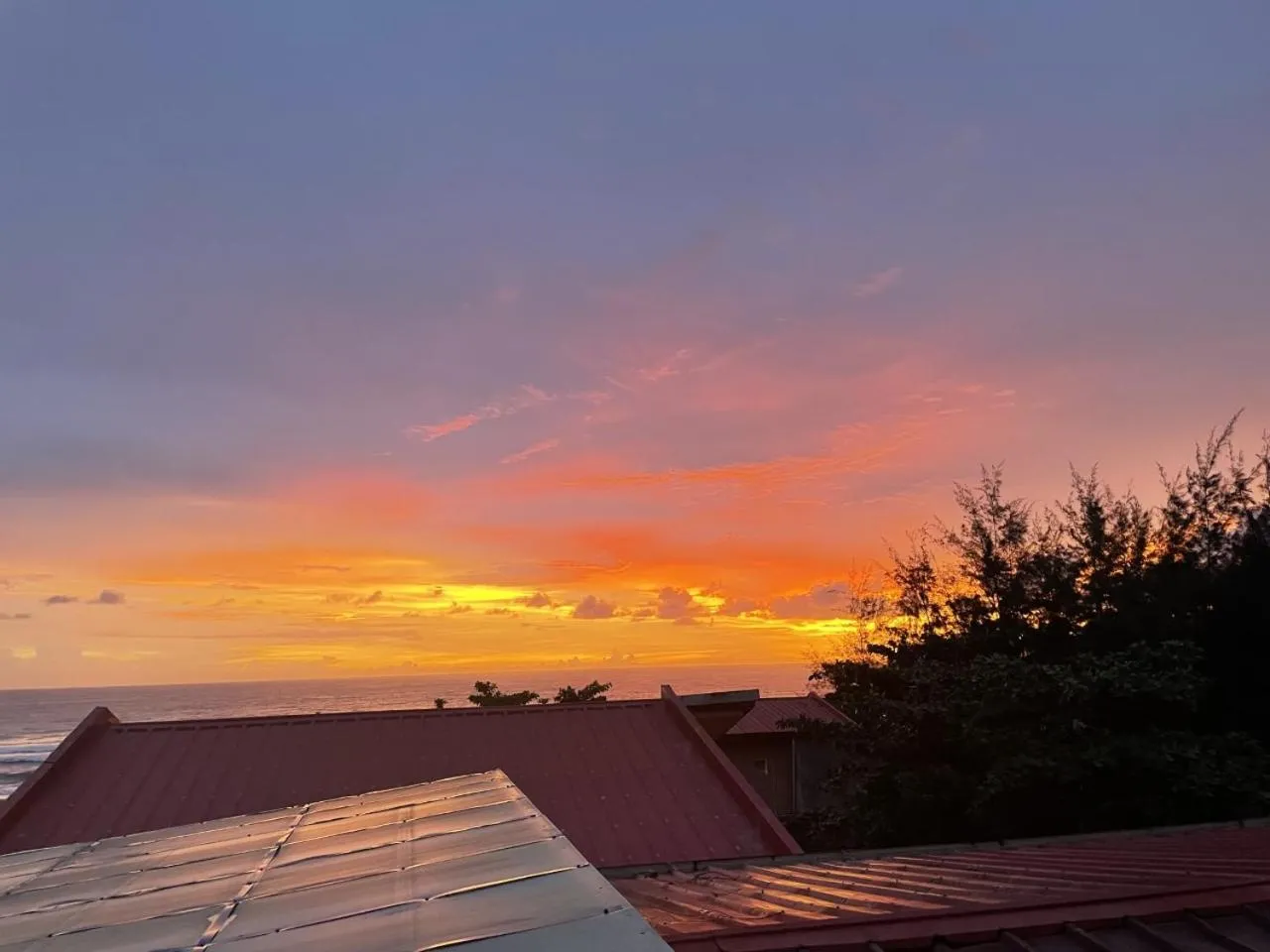 Sea view in The Palms Resort & Bar