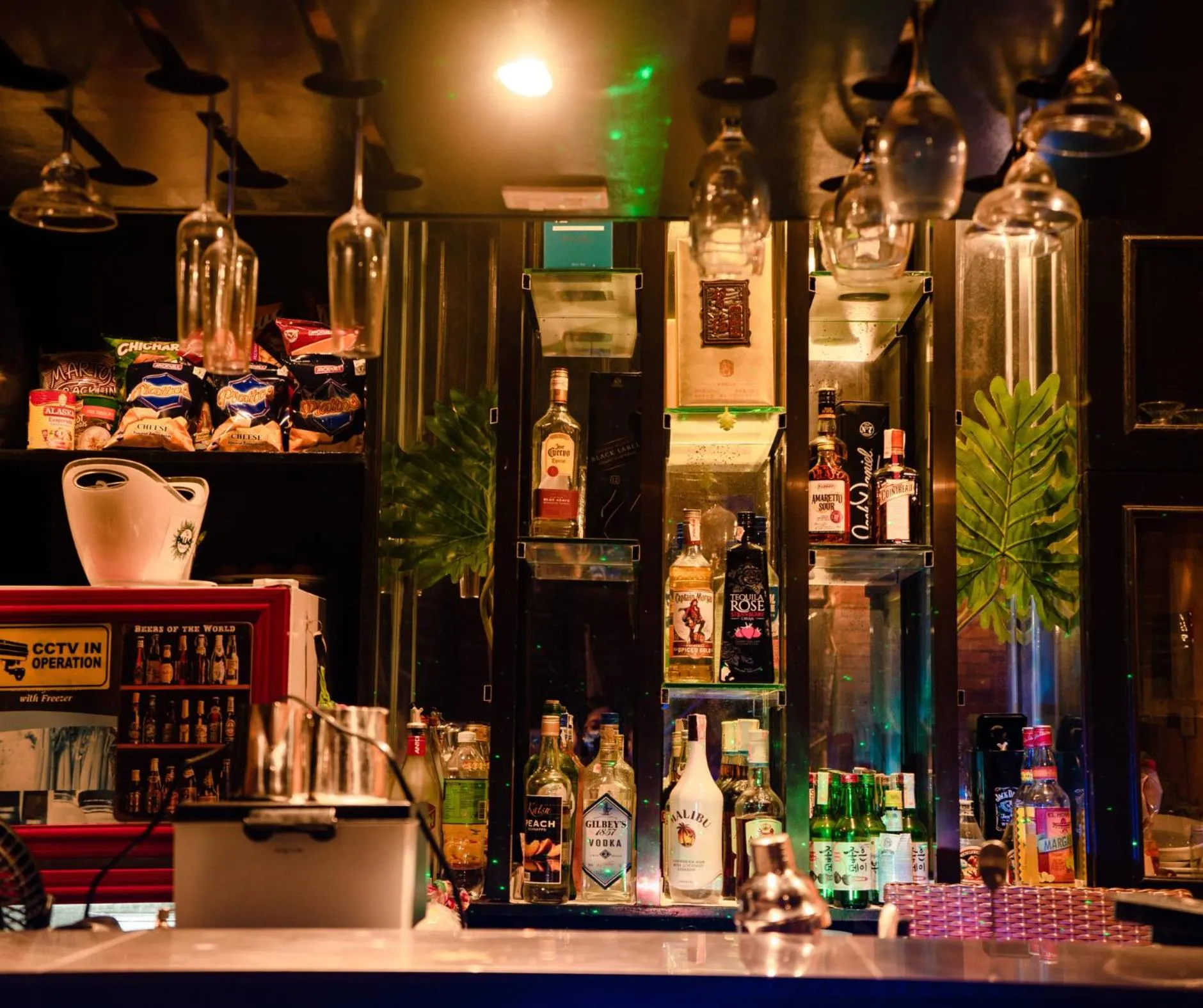 Lounge or bar in The Palms Resort & Bar