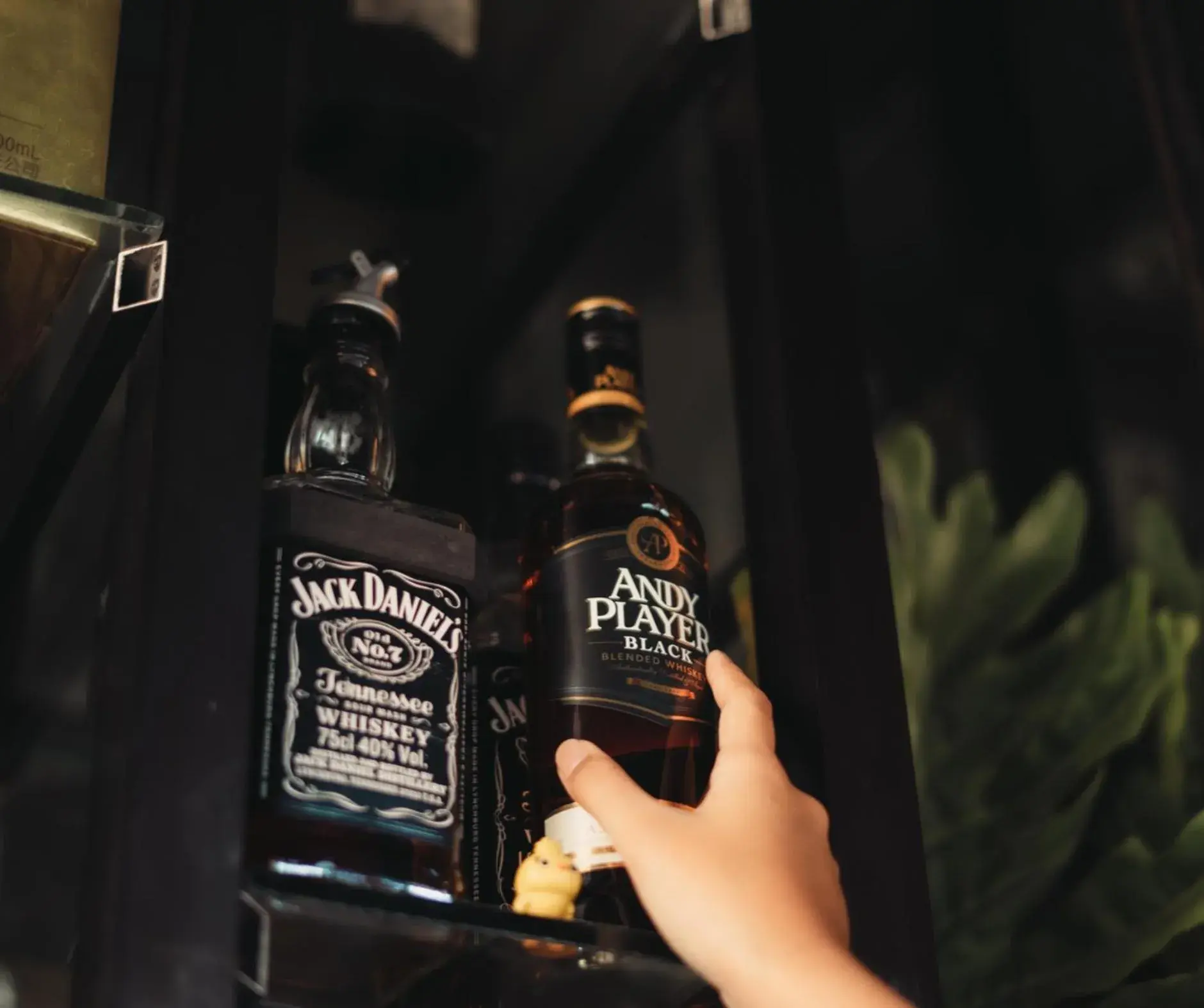 Lounge or bar in The Palms Resort & Bar Lounge or bar in The Palms Resort & Bar