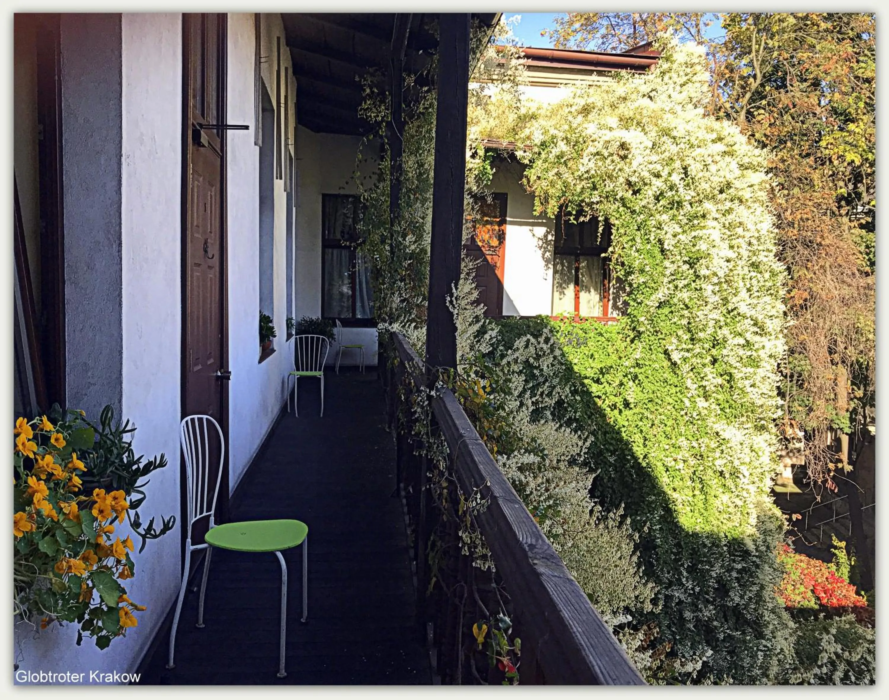 Garden in Globtroter Guest House