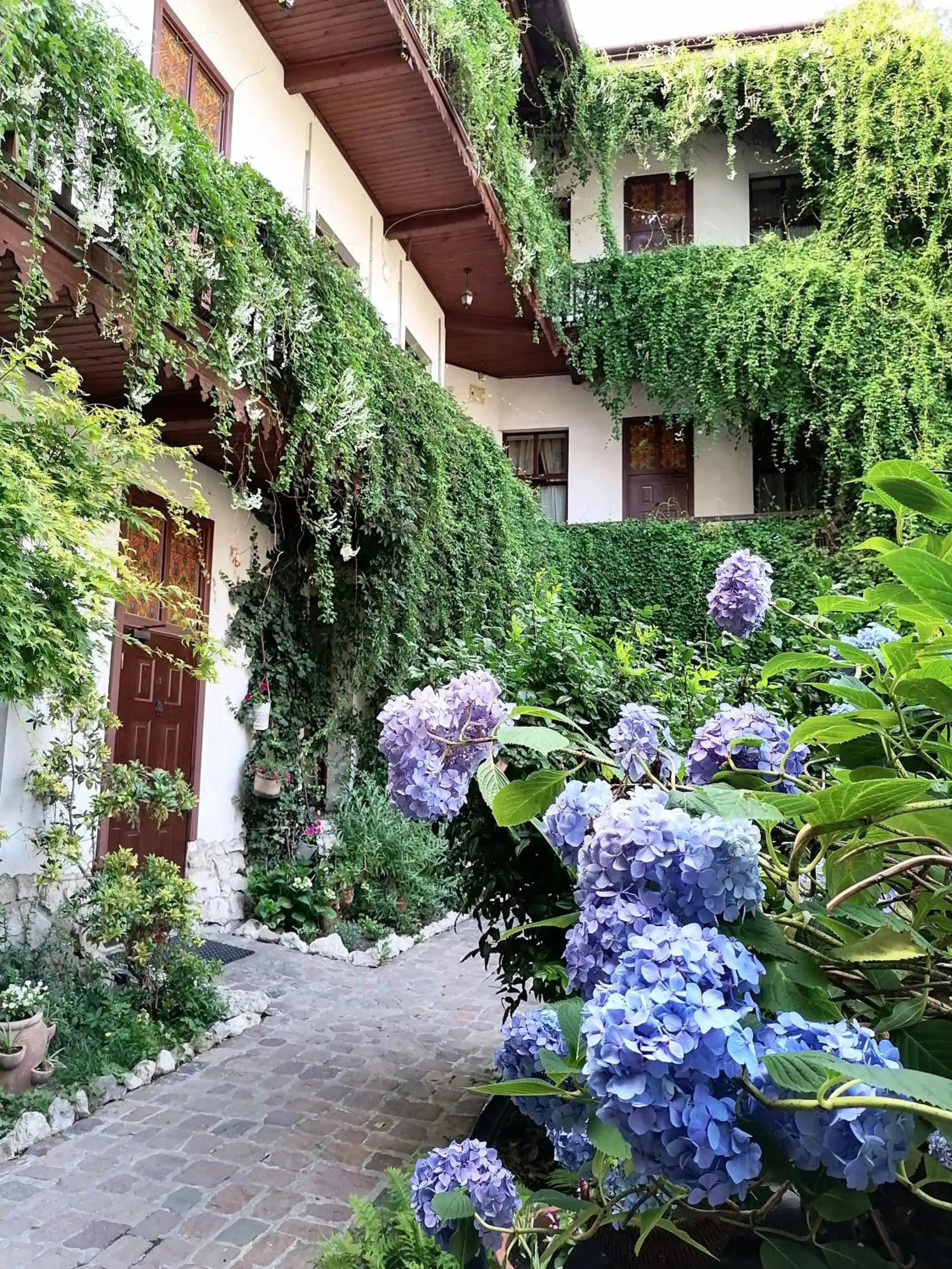 Garden in Globtroter Guest House Garden in Globtroter Guest House