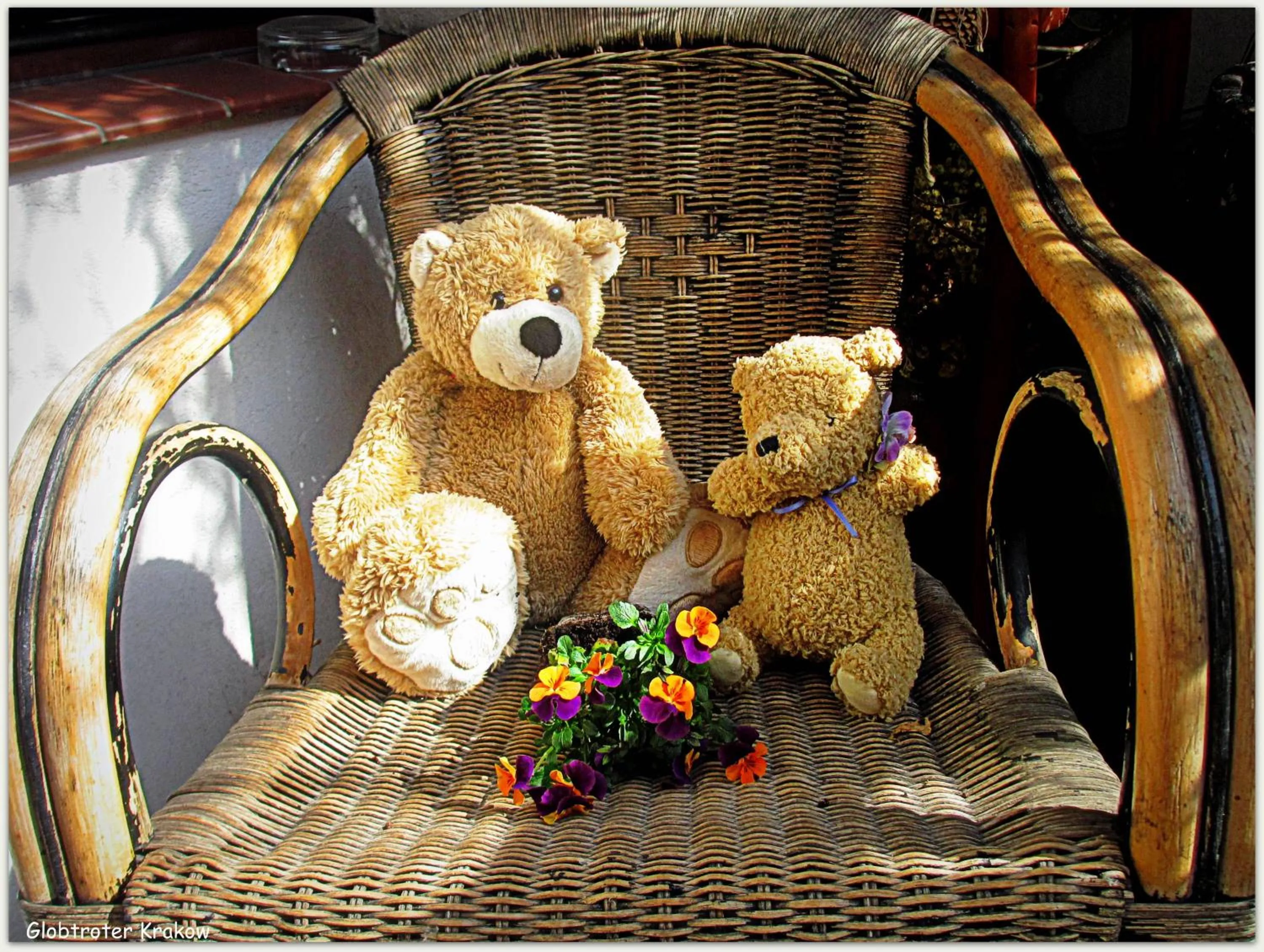 Balcony/Terrace in Globtroter Guest House