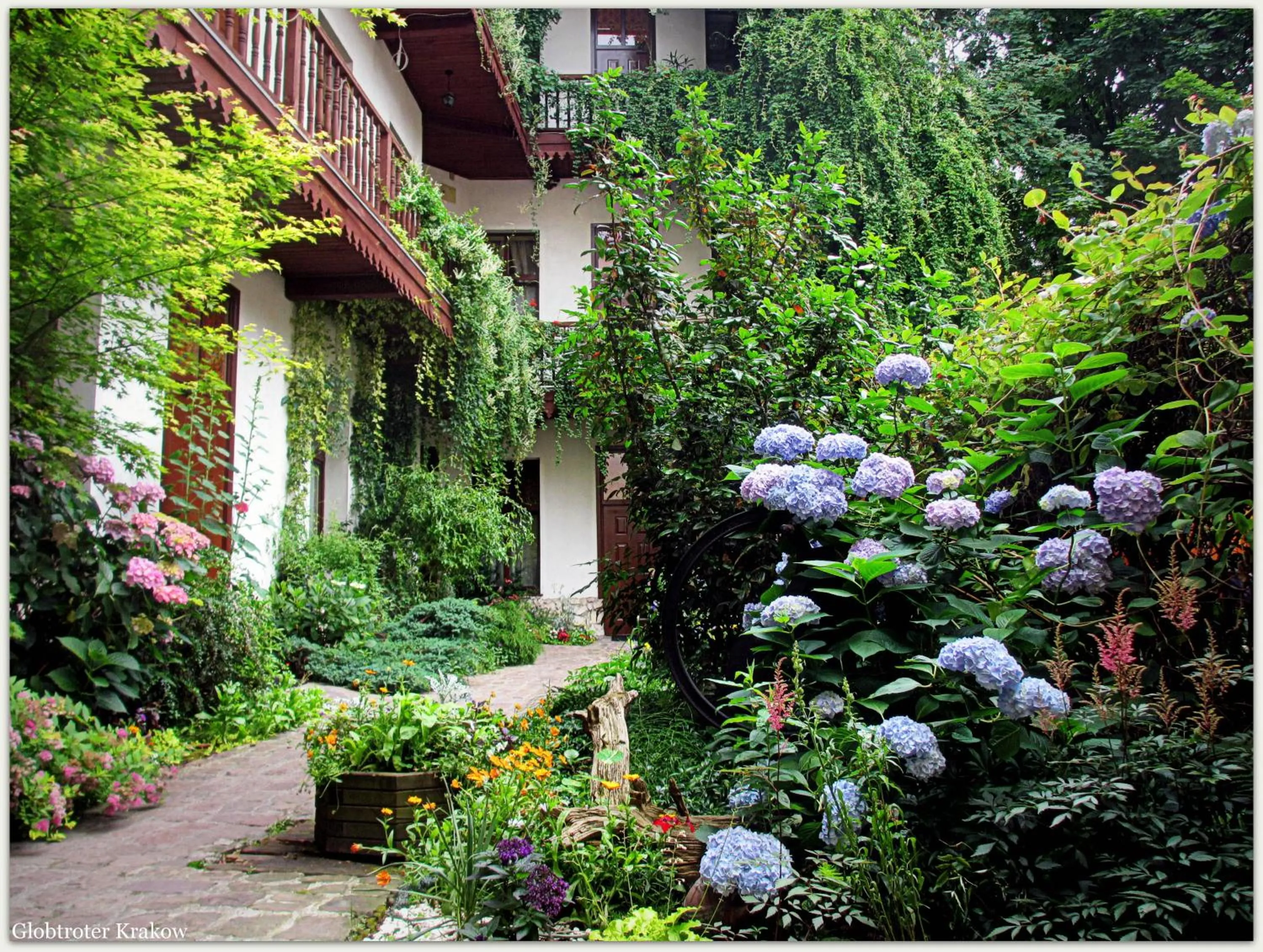 Garden in Globtroter Guest House