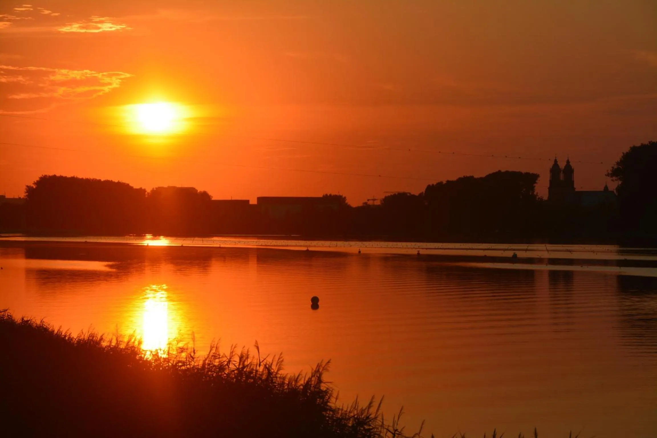 Natural landscape in Hotel HP Park Poznań Malta