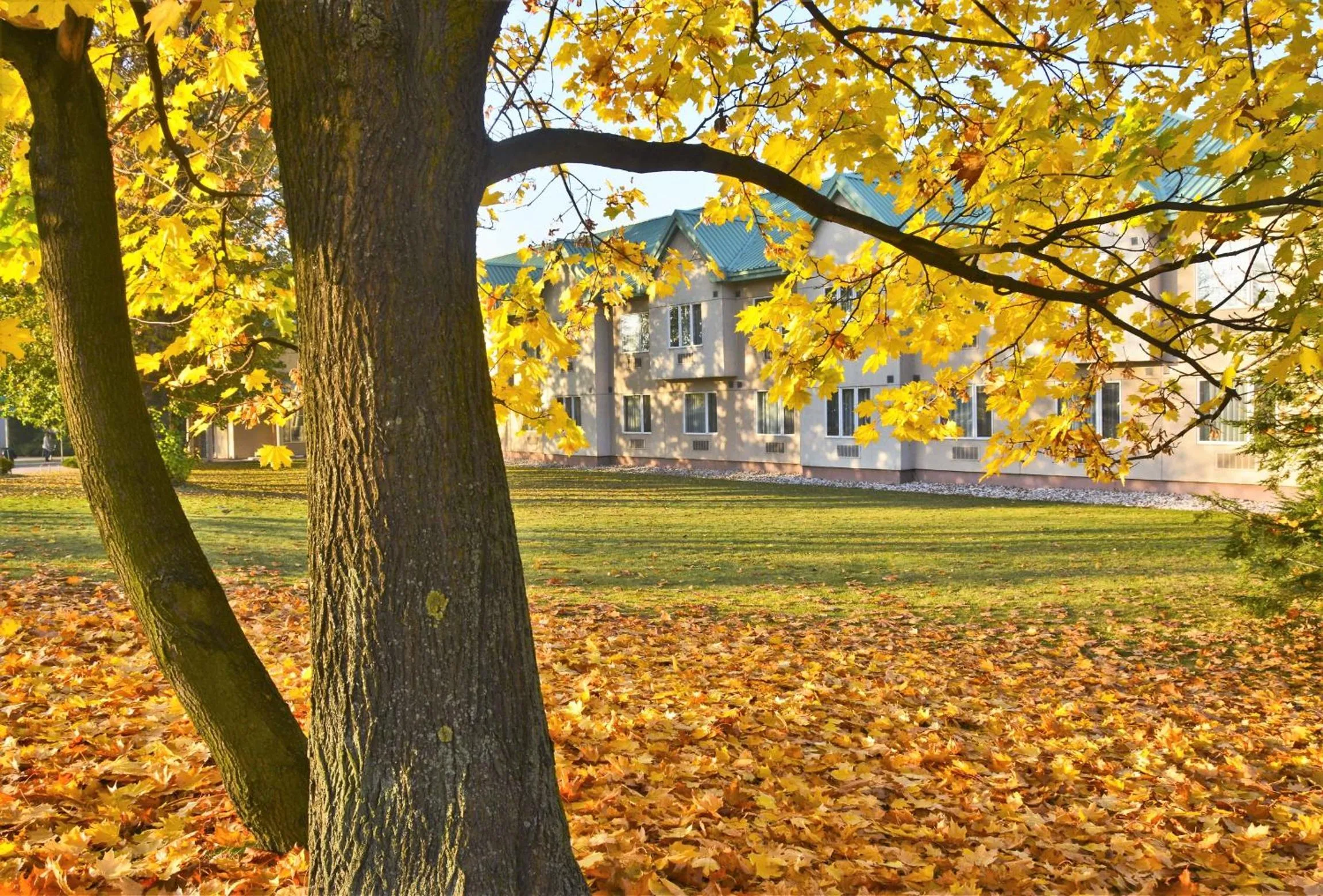 Natural landscape in Hotel HP Park Poznań Malta