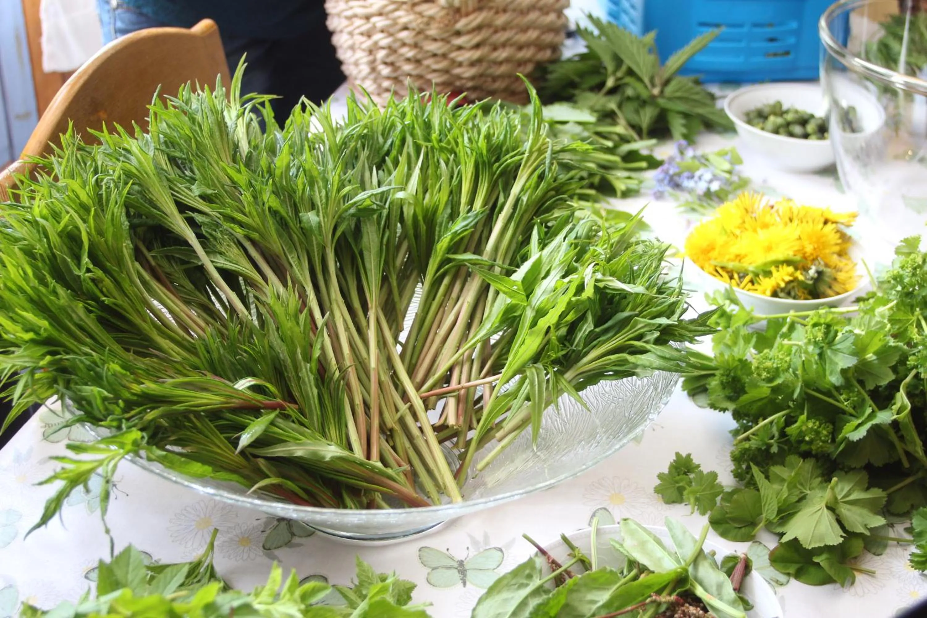 Food in Overvoll Farm