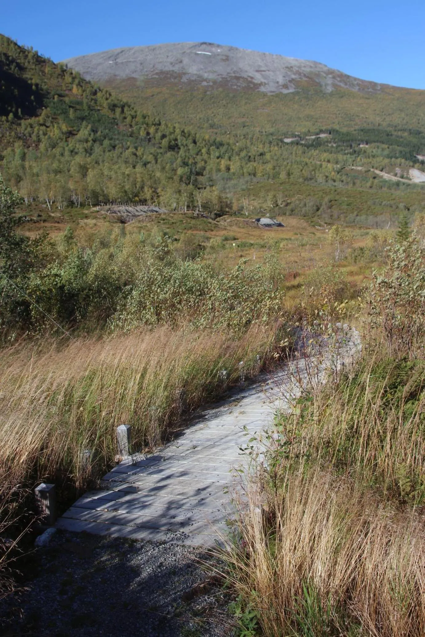 Natural landscape in Overvoll Farm