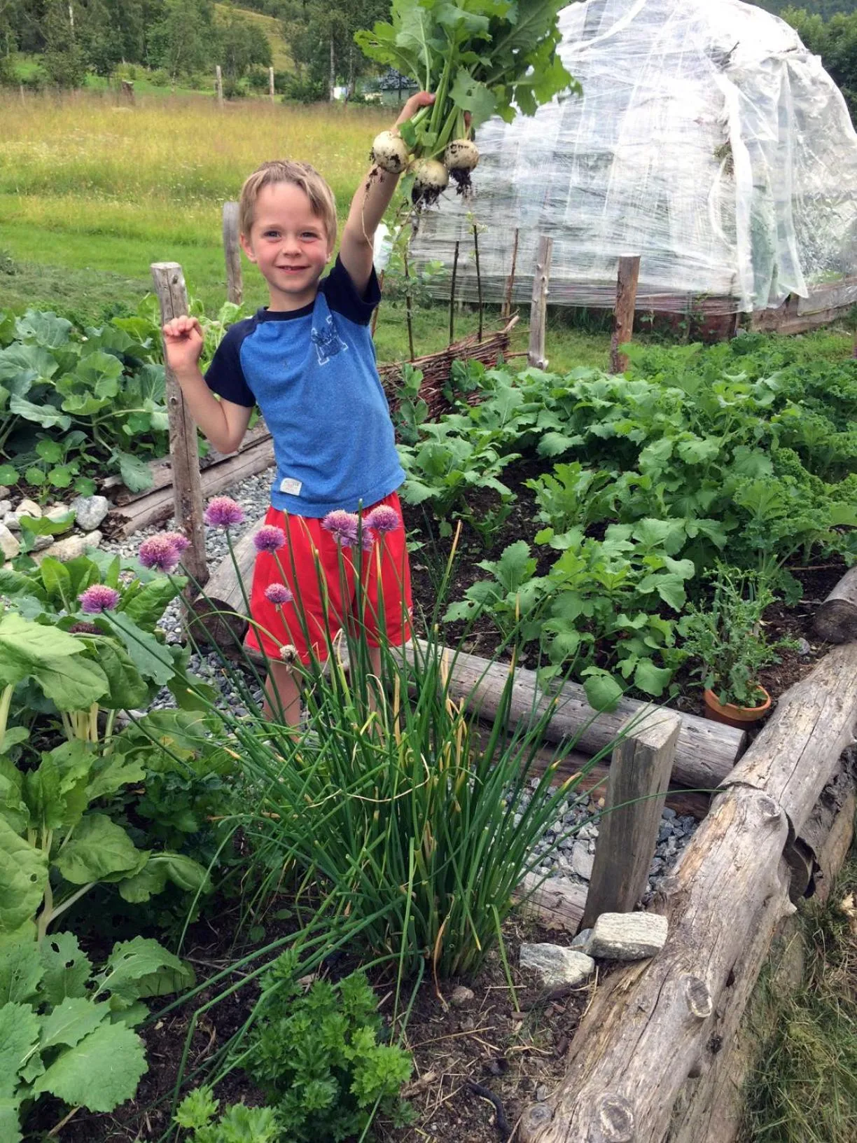 Garden in Overvoll Farm