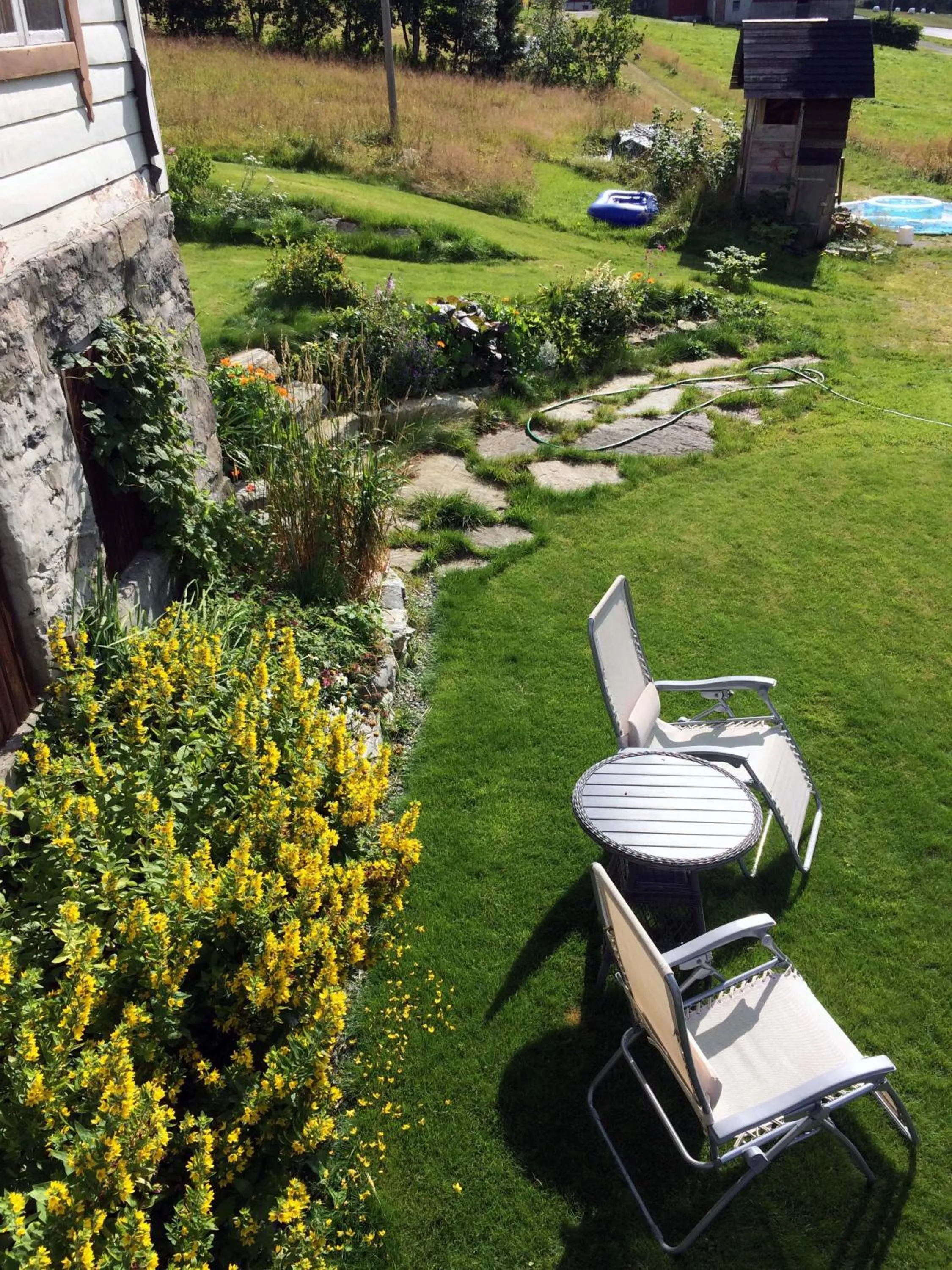 Summer in Overvoll Farm