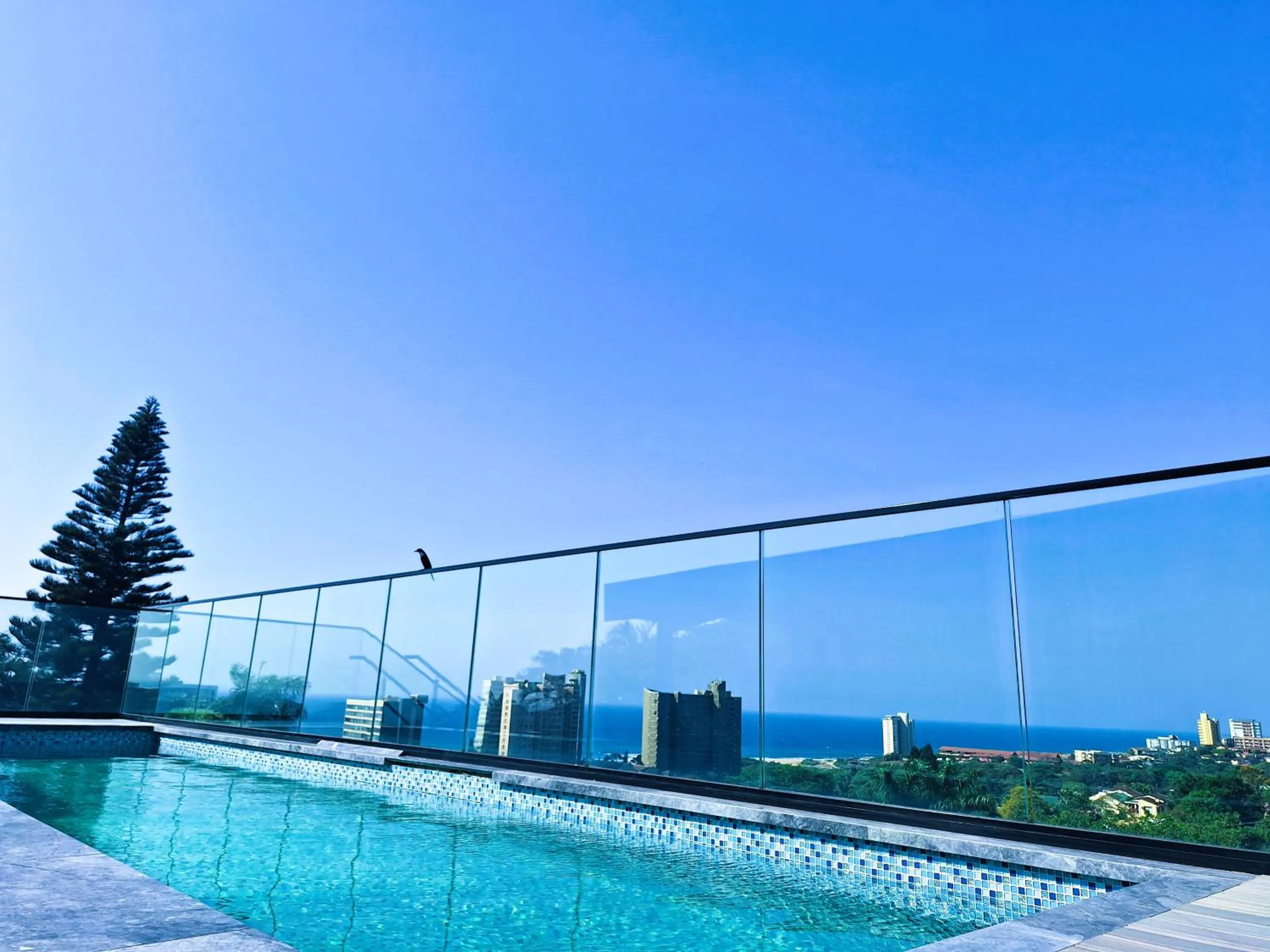 Swimming pool in Zar Hotel